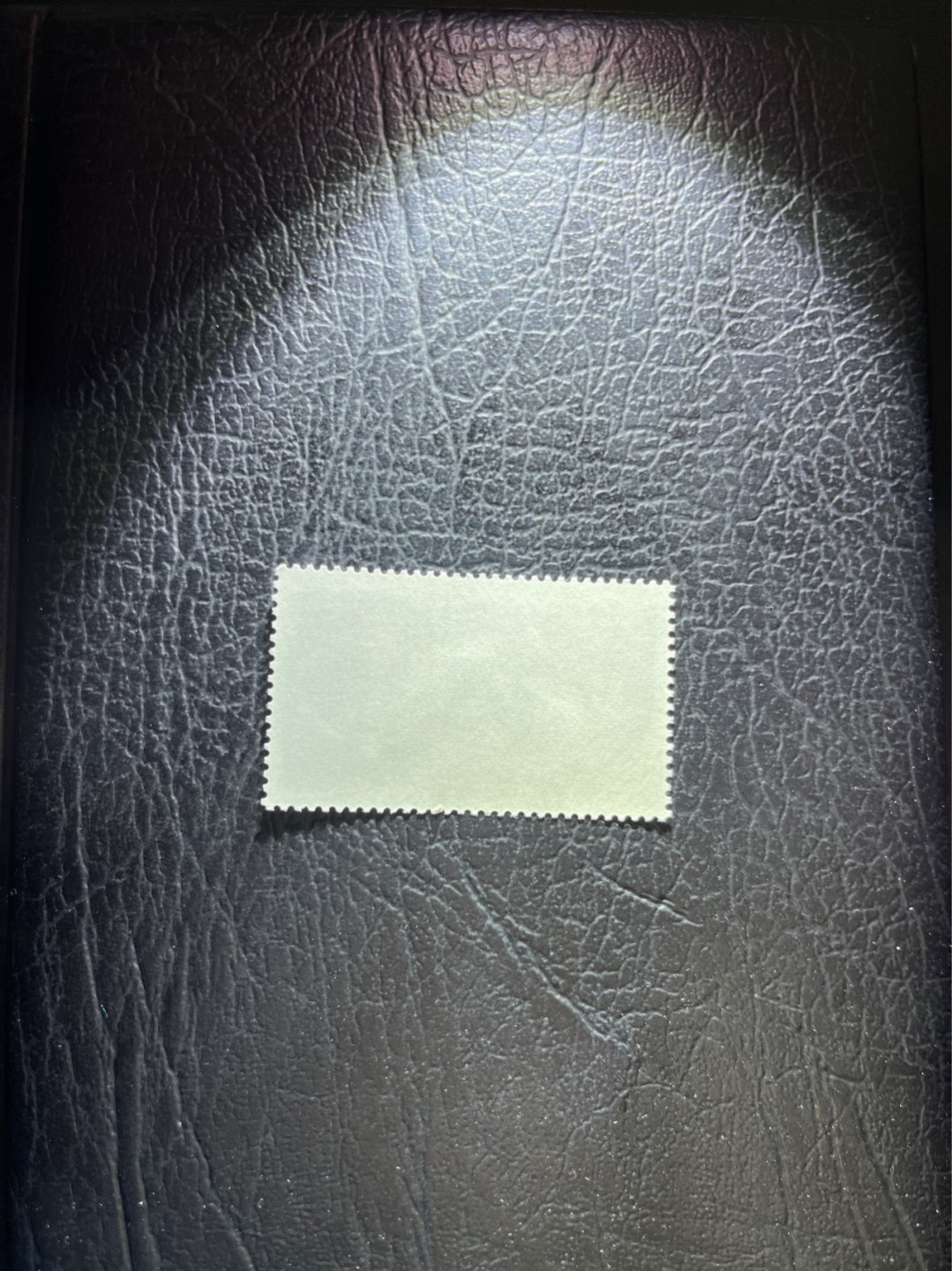 洪涛臻品 精选邮票限时拍卖第四十二期 T18上大学，总筋5-3一枚，版撕全品嘎嘎绝，新票400多一套，总筋一枚价值300多，注意捡漏，最后一枚，全品可评级
