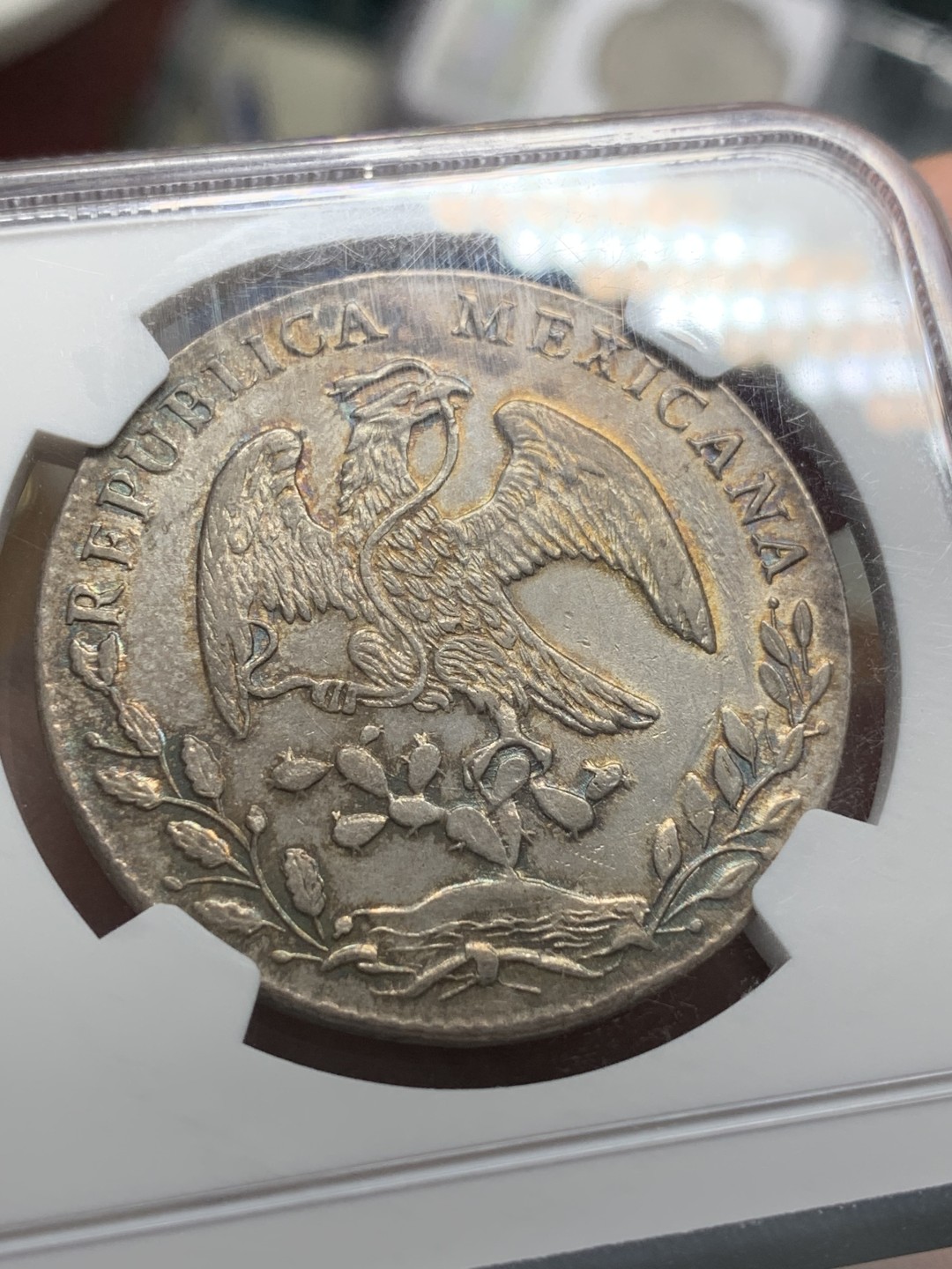 《竞宝斋》第96场-本周日，周一，周四，3场连拍（全场不限金额包邮） NGC AU58墨西哥1884年花边鹰洋8R银币 边缘环彩