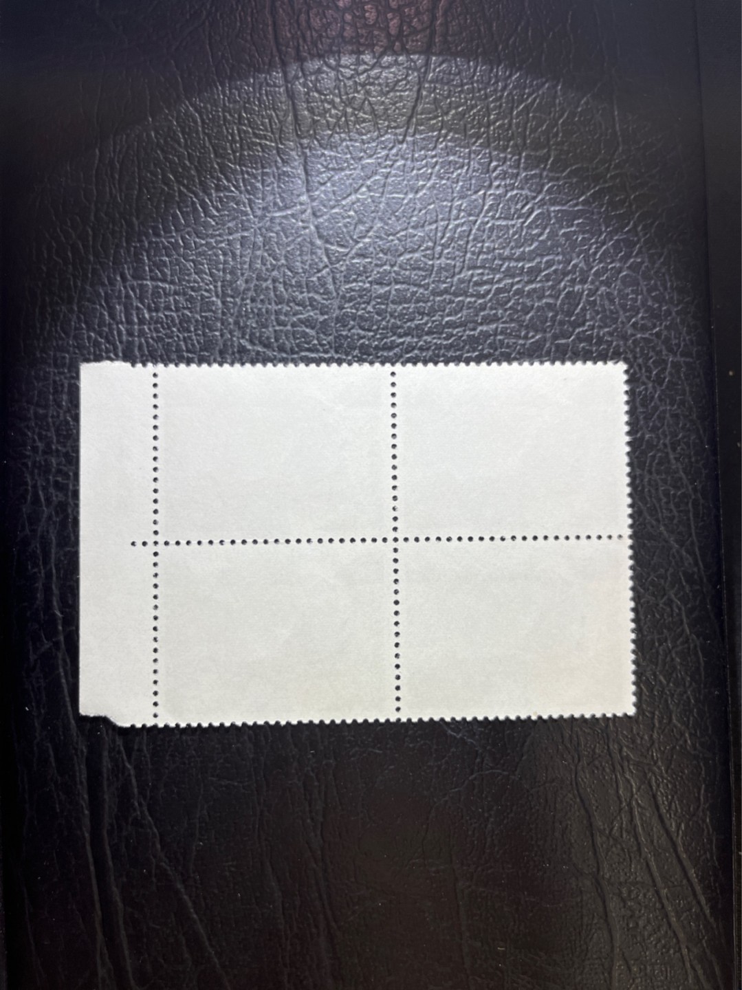 洪涛臻品 精选邮票限时拍卖第三十三期 文17  10分  厂名 4方连一组，全品，三俗稀缺，喜欢不要错过，全品可评级。！《ASG评级处于初级阶段，注意建仓便宜的版撕货，未来市场前景不可估量！！！！》