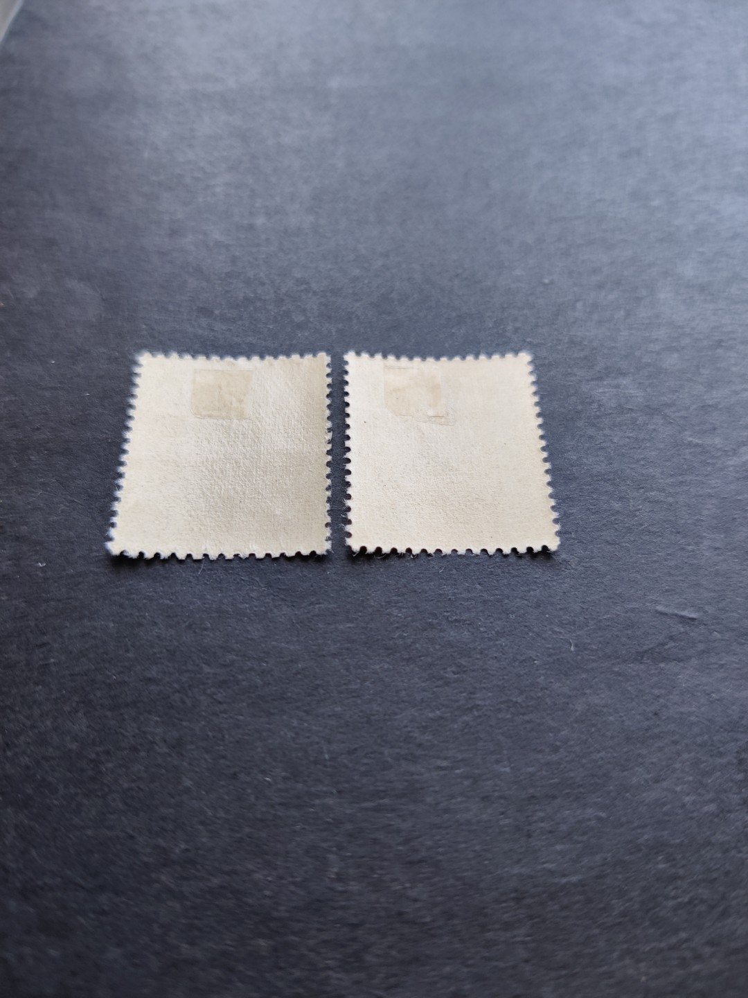 洪涛臻品 精选邮票限时拍卖第三十三期 满洲国皇帝陛下访日纪念，2全新，原胶无黄