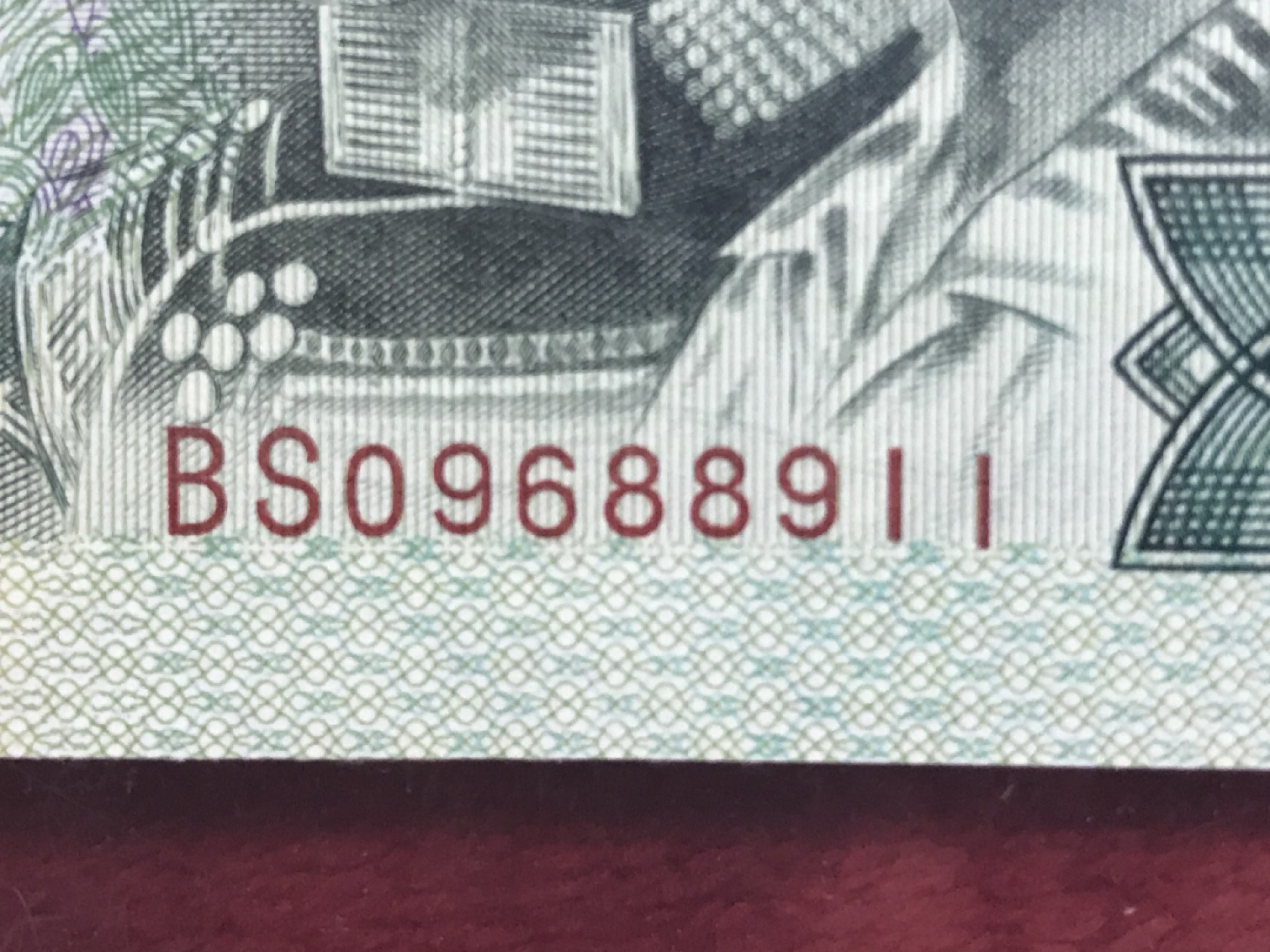 缤纷开心拍555期