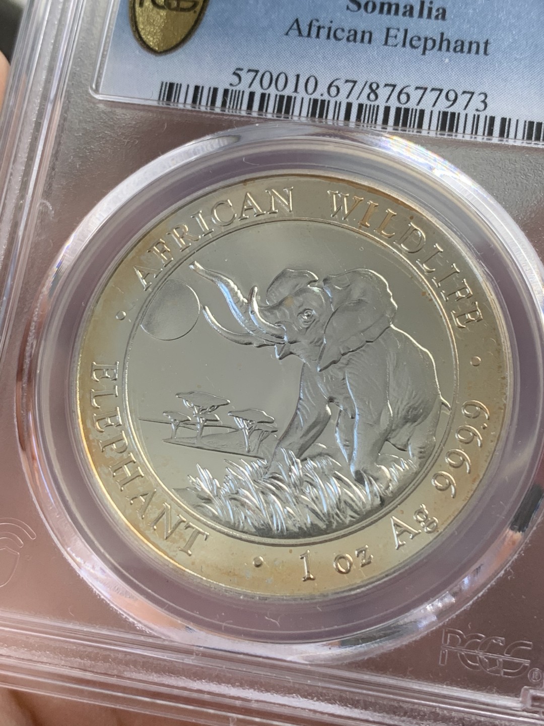 《竞宝斋》第96场-本周日，周一，周四，3场连拍（全场不限金额包邮） PCGS-MS67  索马里 2016年100先令 非洲大象银币 状态好