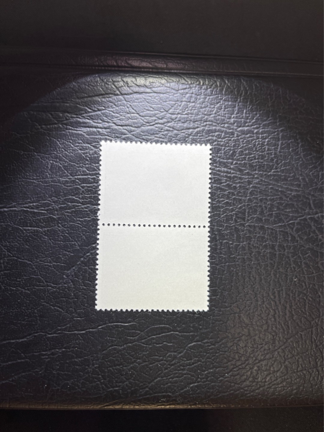 洪涛臻品 精选邮票限时拍卖第三十三期 编号巴黎公社 N11   2连一组，完美品相，随时售缺，编号票中的龙头，版撕全品嘎嘎绝，收藏级品相。齿孔新且饱满，全品可评级，注意捡漏。！《ASG评级处于初级阶段，注意建仓便宜的版撕货，未来市场前景不可估量！！！！》
