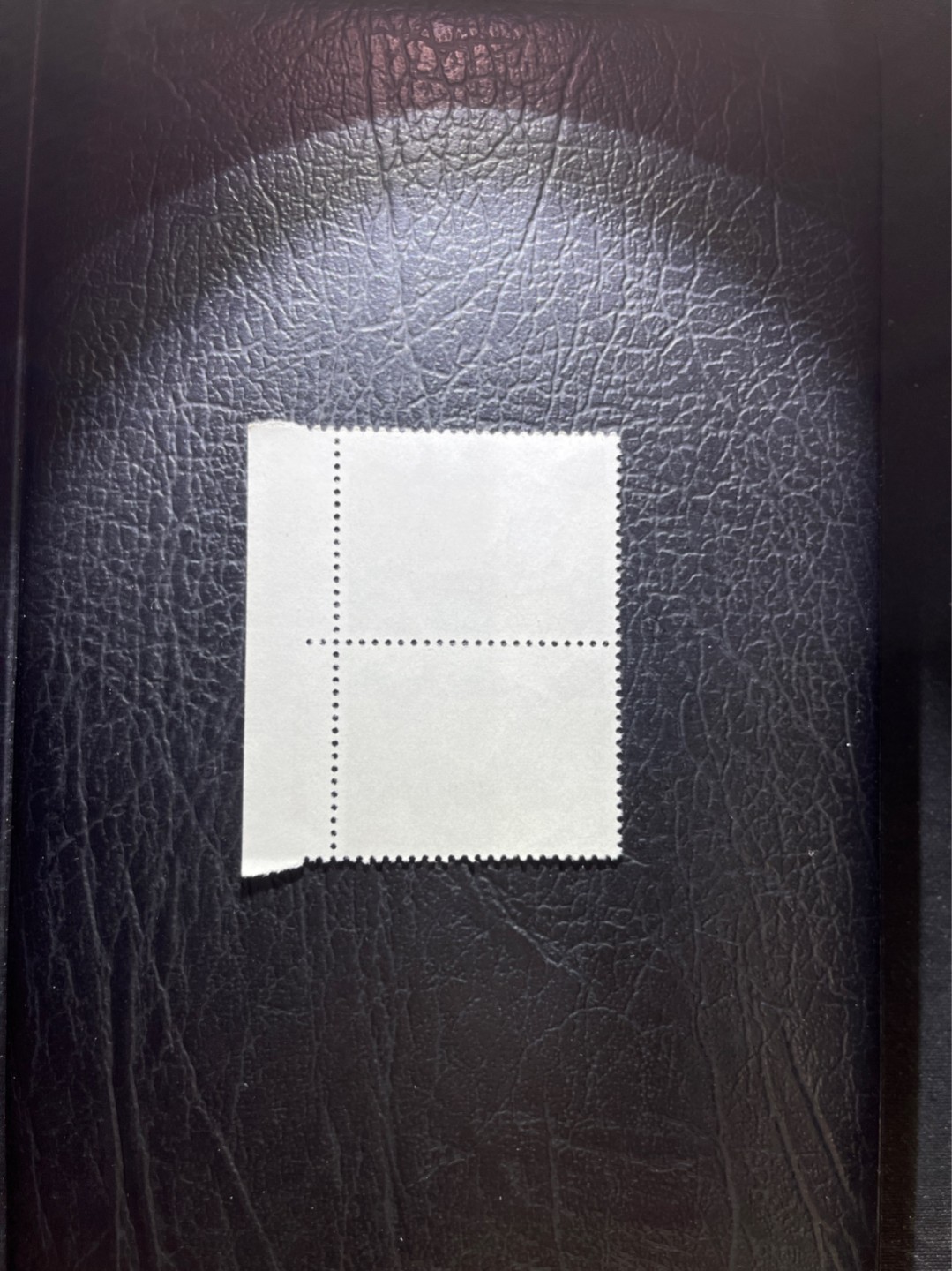 洪涛臻品 精选邮票限时拍卖第三十三期 文17  10分  厂名，色标，2连一组，全品，老纪特三俗稀缺，喜欢不要错过，全品可评级。！《ASG评级处于初级阶段，注意建仓便宜的版撕货，未来市场前景不可估量！！！！》