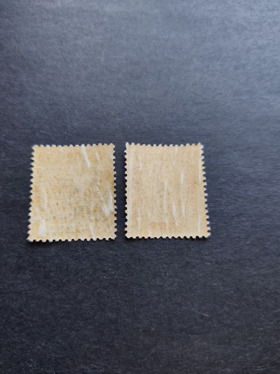 洪涛臻品 精选邮票限时拍卖第三十三期 满洲国邮票2全新，原胶无贴