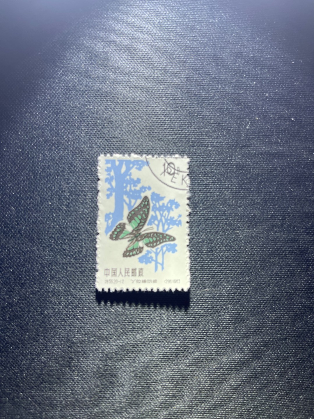 洪涛臻品 精选邮票限时拍卖第三十八期 特56蝴蝶盖销  20-12一枚，版撕全品嘎嘎绝，钢戳，面艳胶白，六珍之一，非常受欢迎的品种，新票价格高，盖销全品不要错过