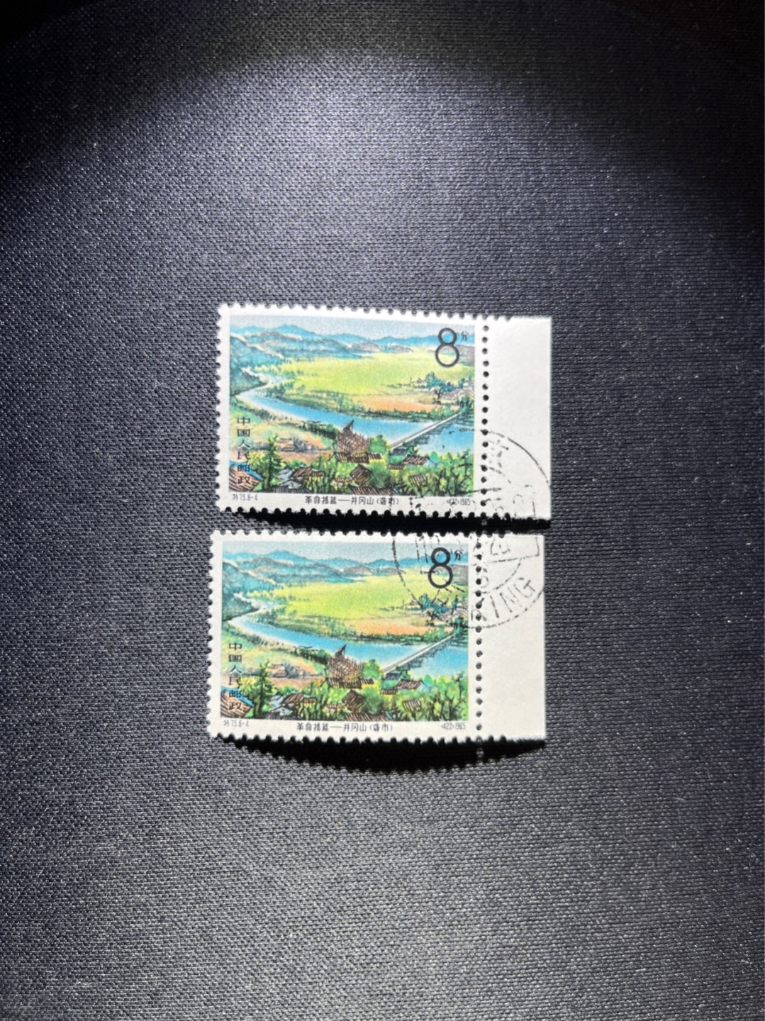 洪涛臻品 精选邮票限时拍卖第三十七期 特73井冈山盖销  8-4 2枚，带边纸，版撕全品嘎嘎绝，✦完美品相✦解放初的经典票，整版撕开，面艳胶白，票挺洁净，齿孔完美，收藏评级两相宜，且有高附加值边纸。老纪特的版票资源十分稀缺难寻，机会来临时必须抓住。《ASG评级处于初级阶段，趁便宜囤精品版撕票，后市不可估量》