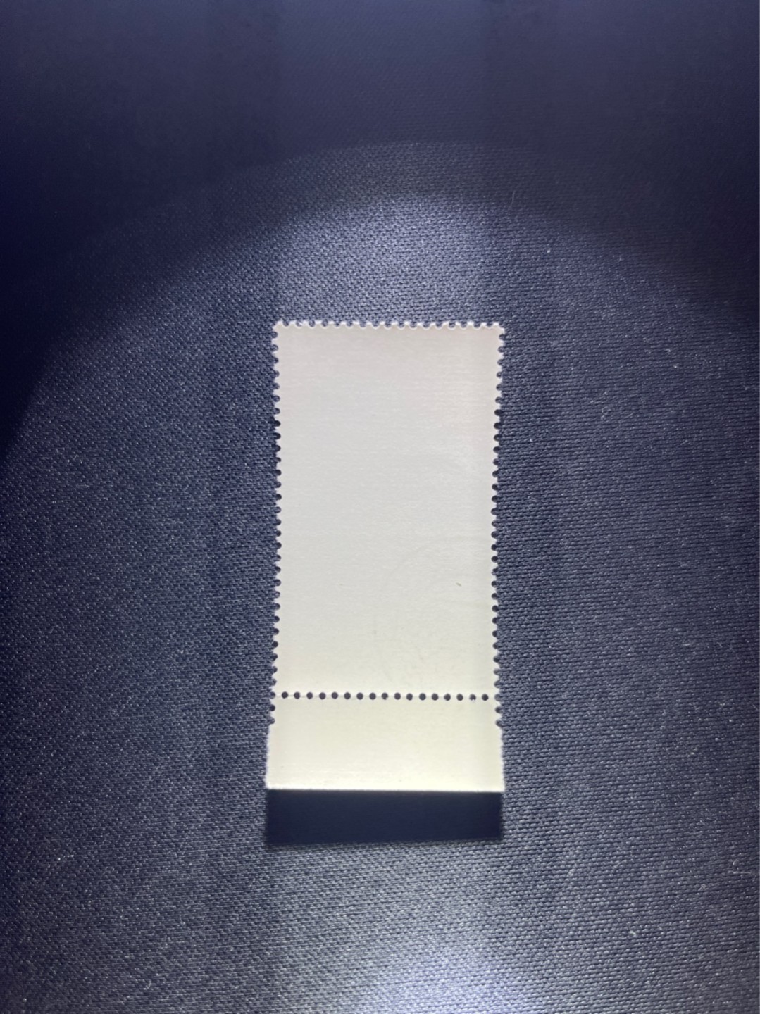 洪涛臻品 精选邮票限时拍卖第三十四期 特68新安江4-2盖销  厂名  钢戳 三俗稀缺，版撕全品嘎嘎绝。  解放初的经典票，整版撕开，面艳胶白，票挺洁净，齿孔完美，收藏评级两相宜，且有高附加值边纸。老纪特的版票资源十分稀缺难寻，机会来临时必须抓住。