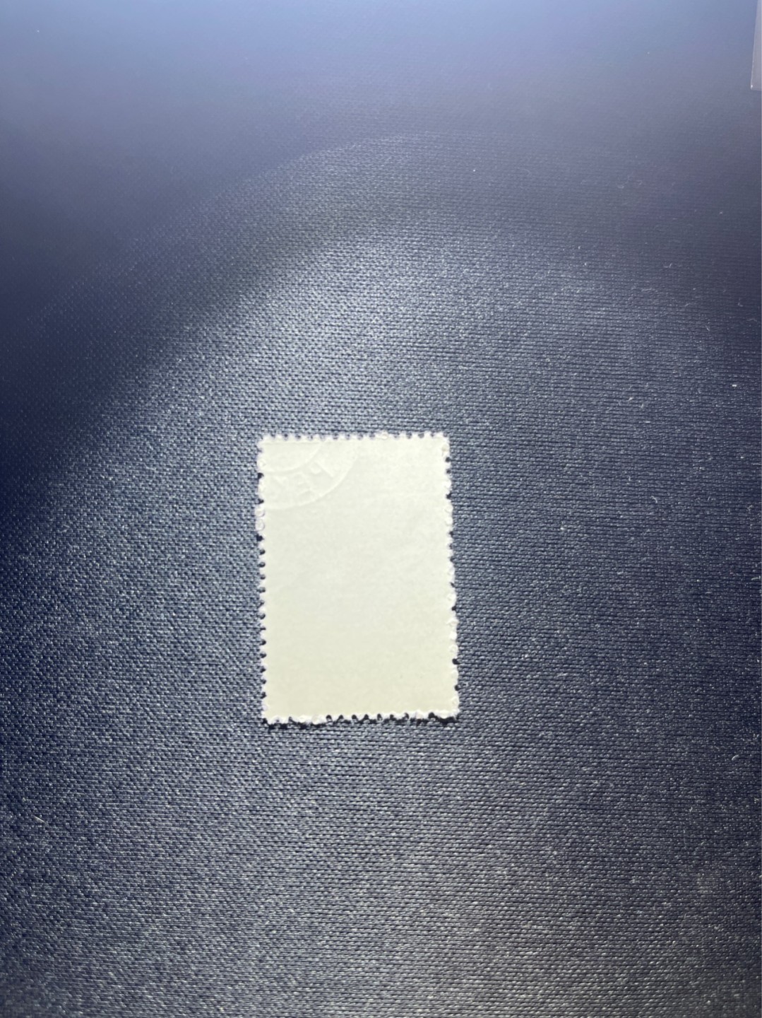 洪涛臻品 精选邮票限时拍卖第三十八期 特56蝴蝶盖销  20-8一枚，版撕全品嘎嘎绝，钢戳，面艳胶白，六珍之一，非常受欢迎的品种，新票价格高，盖销全品不要错过