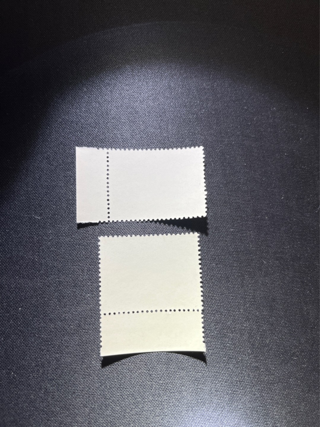 洪涛臻品 精选邮票限时拍卖第三十四期 特73井冈山盖销  8-4 厂名 1枚，色标 版号1枚，共2枚 ，三俗稀缺，版撕全品嘎嘎绝，✦完美品相✦解放初的经典票，整版撕开，面艳胶白，票挺洁净，齿孔完美，收藏评级两相宜，且有高附加值边纸。老纪特的版票资源十分稀缺难寻，机会来临时必须抓住。《ASG评级处于初级阶段，趁便宜囤精品版撕票，后市不可估量》