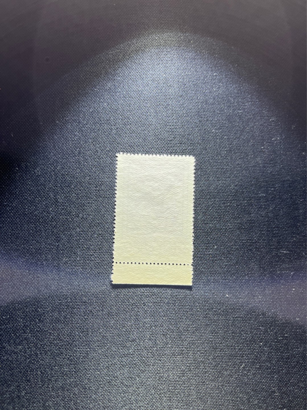 洪涛臻品 精选邮票限时拍卖第三十四期 纪26列宁新 总筋3-2 带边纸1枚  版撕全品嘎嘎绝，收藏级品相★总筋一枚几乎等于一套票★老纪特经典票，ASG90分一套价格1500元左右，博分首选，收藏或评级必须选版撕票，注意捡漏