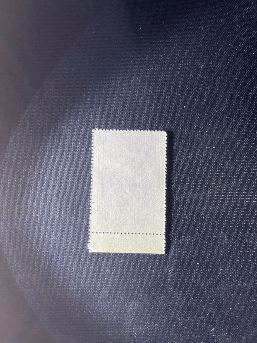 洪涛臻品 精选邮票限时拍卖第三十四期 纪26列宁新 总筋3-2 带边纸1枚  版撕全品嘎嘎绝，收藏级品相★总筋一枚几乎等于一套票★老纪特经典票，ASG90分一套价格1500元左右，博分首选，收藏或评级必须选版撕票，注意捡漏