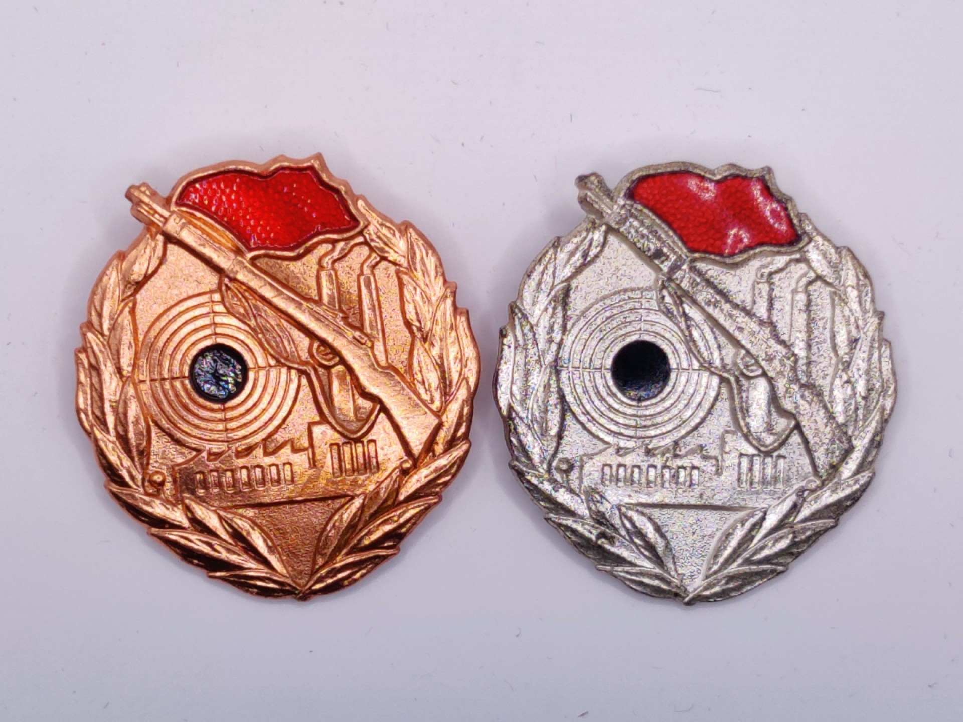 第二期 全场0元起拍 咸鱼国勋章拍卖专场 22年9月25日（周日）开始 东德工战队射击技能章两个