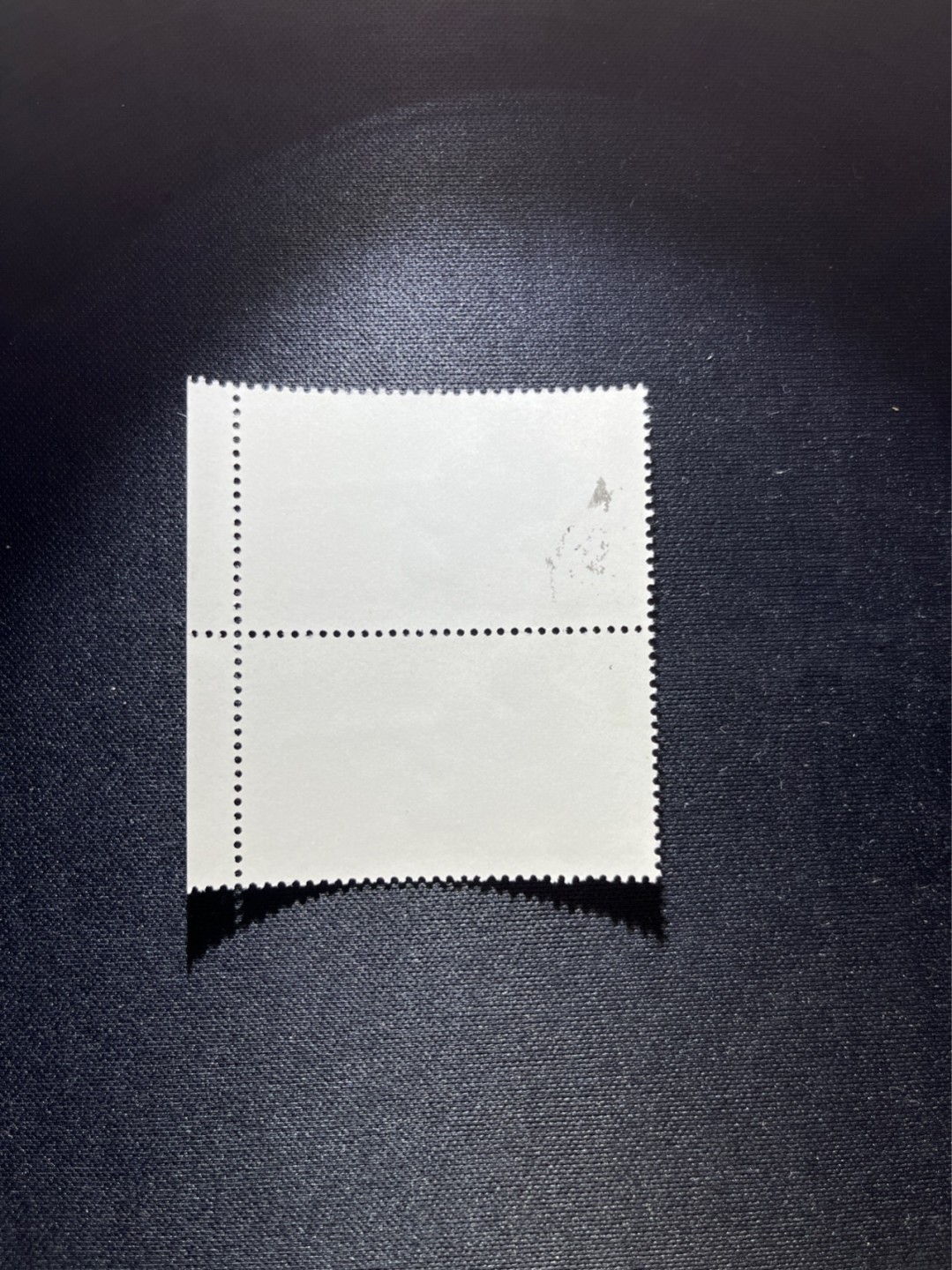 洪涛臻品 精选邮票限时拍卖第三十八期 热门品种，特74解放军  盖销  厂名竖2连一组★品相完美，收藏首选★  老纪特三俗稀缺，经典热门票，版撕全品嘎嘎绝，面艳胶白，撕口新，喜欢不要错过，全品可评级《ASG评级处于初级阶段，趁便宜囤精品版撕票，后市不可估量》