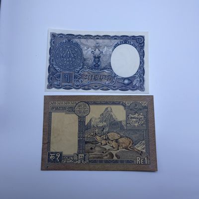 0起1加，零佣金，拍中即包邮（不看金额）【铜匠收藏】散币第九场，好货多多！ - 尼泊尔纸币两张 品相不错