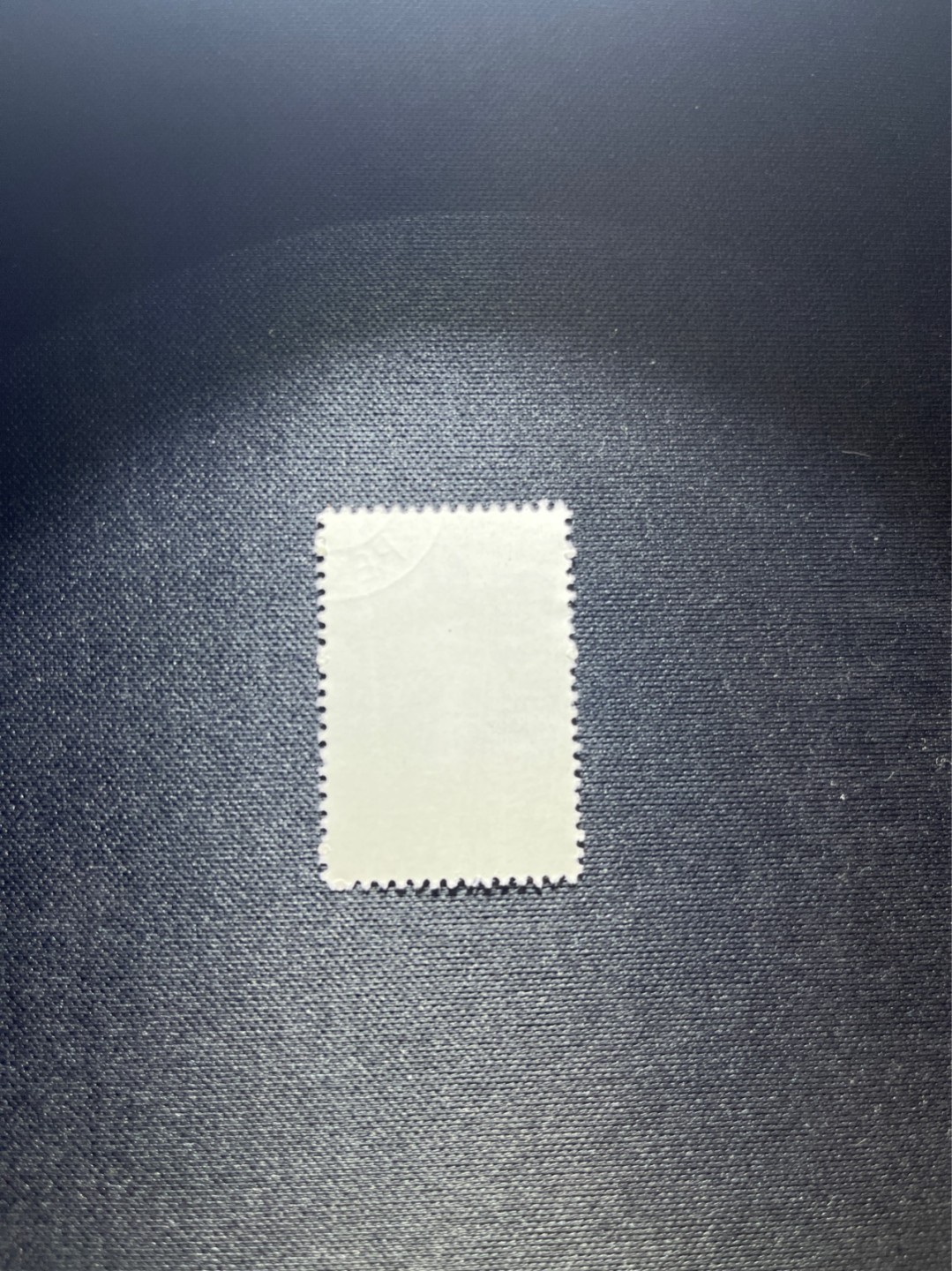 洪涛臻品 精选邮票限时拍卖第三十八期 特56蝴蝶盖销  20-10一枚，版撕全品嘎嘎绝，钢戳，面艳胶白，六珍之一，非常受欢迎的品种，新票价格高，盖销全品不要错过