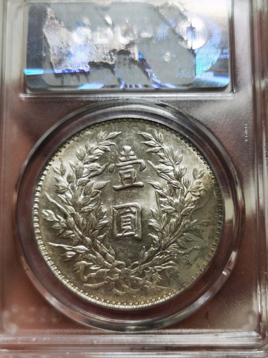 三角圆竹节花