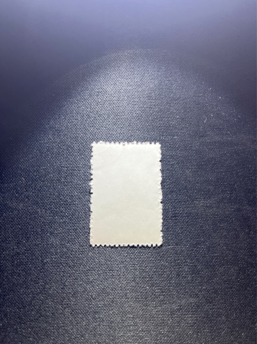 洪涛臻品 精选邮票限时拍卖第三十八期 特56蝴蝶盖销  20-12一枚，版撕全品嘎嘎绝，钢戳，面艳胶白，六珍之一，非常受欢迎的品种，新票价格高，盖销全品不要错过