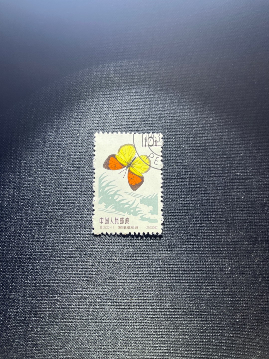 洪涛臻品 精选邮票限时拍卖第三十八期 特56蝴蝶盖销  20-11一枚，版撕全品嘎嘎绝，钢戳，面艳胶白，六珍之一，非常受欢迎的品种，新票价格高，盖销全品不要错过