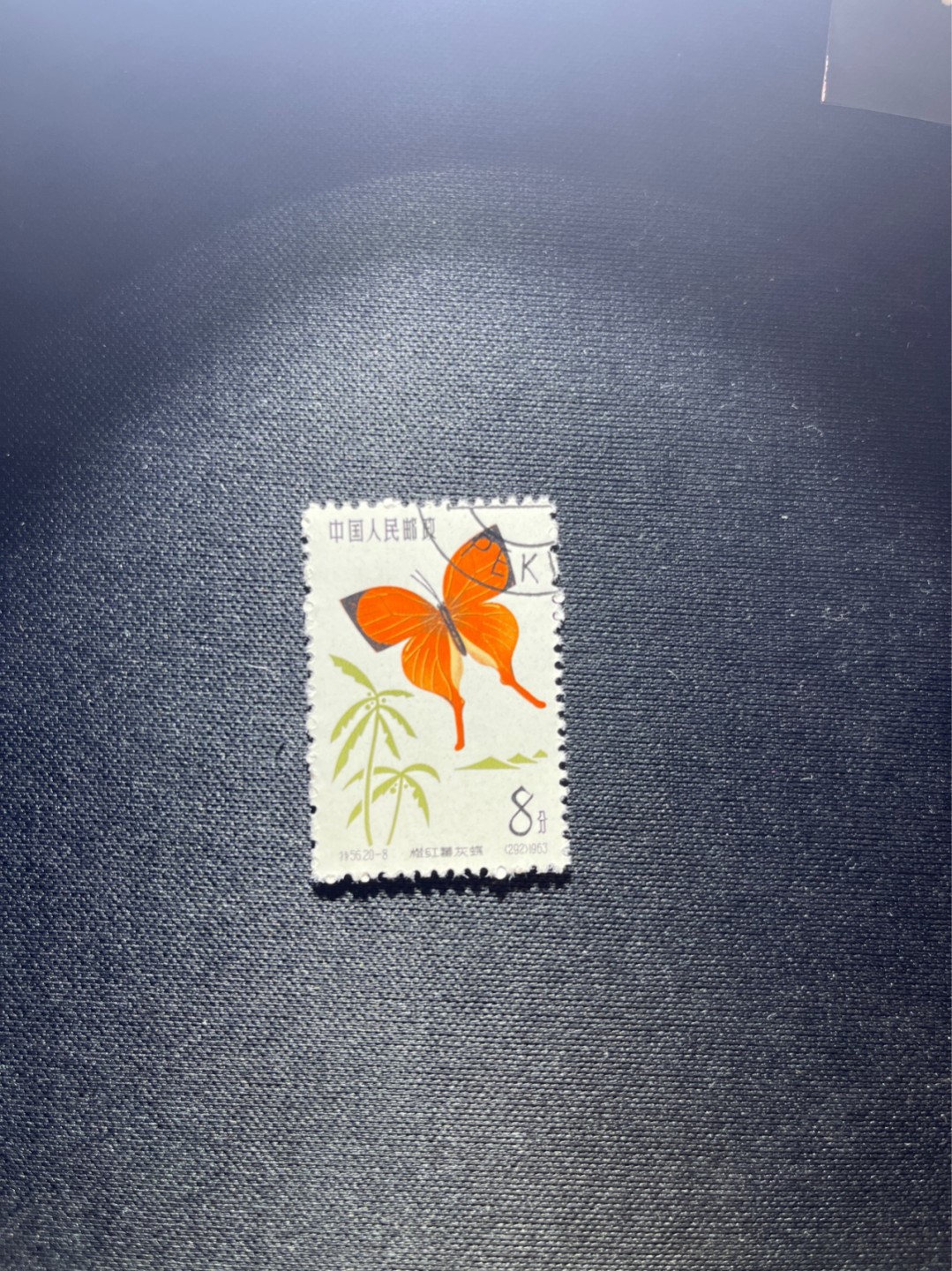 洪涛臻品 精选邮票限时拍卖第三十八期 特56蝴蝶盖销  20-8一枚，版撕全品嘎嘎绝，钢戳，面艳胶白，六珍之一，非常受欢迎的品种，新票价格高，盖销全品不要错过
