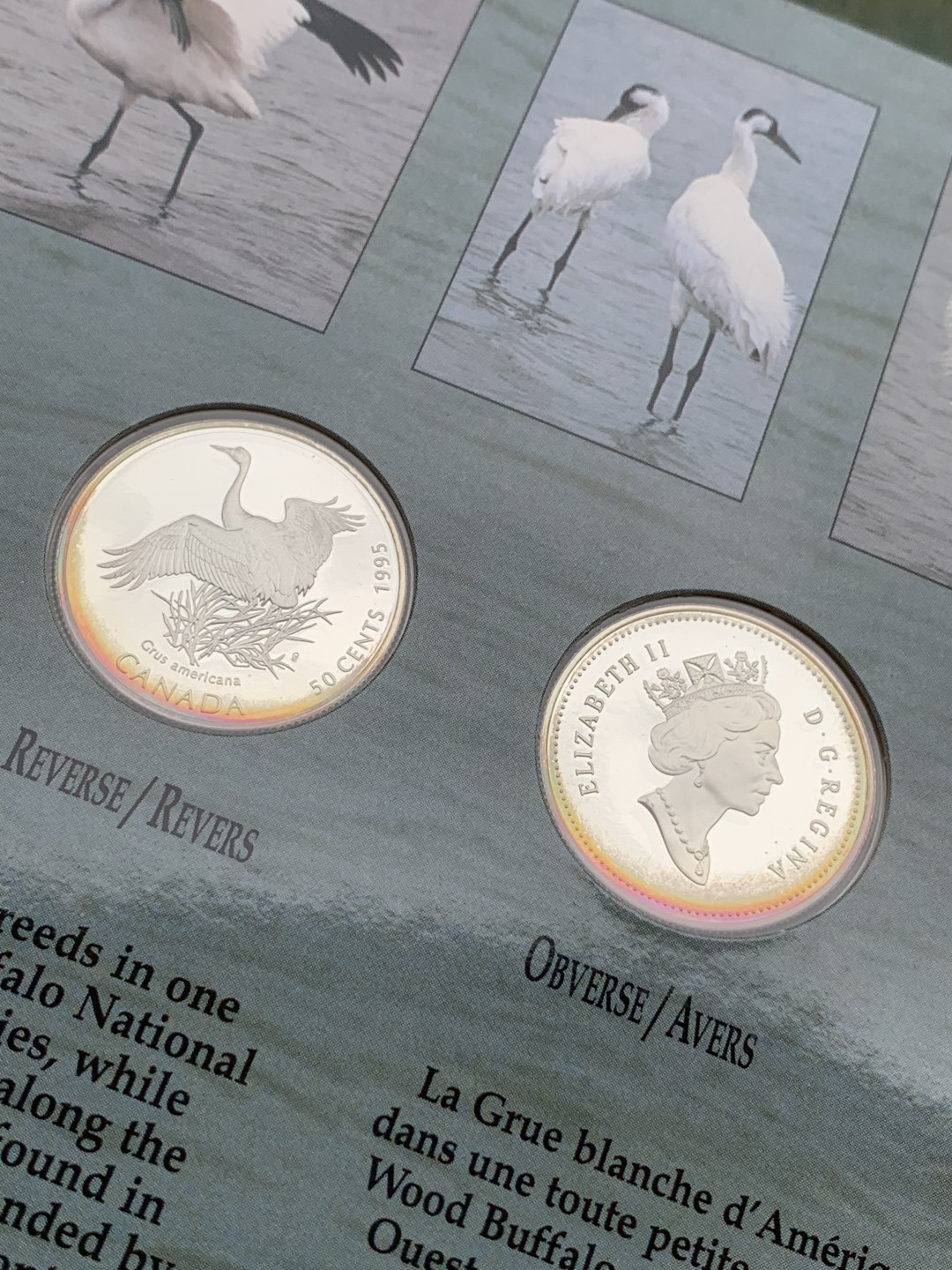 《竞宝斋》第97场-本周四 （满2件或者满200包顺丰） 加拿大 1995年 动物系列4枚套 封装套币 50分 精制银币 9.3克/枚