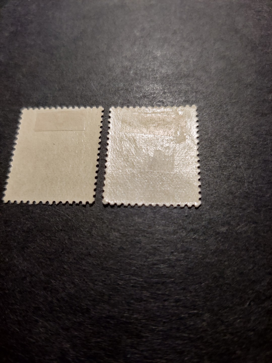 洪涛臻品 精选邮票限时拍卖第三十四期 满洲国皇帝陛下访日纪念，2全新，原胶无黄，品相自定