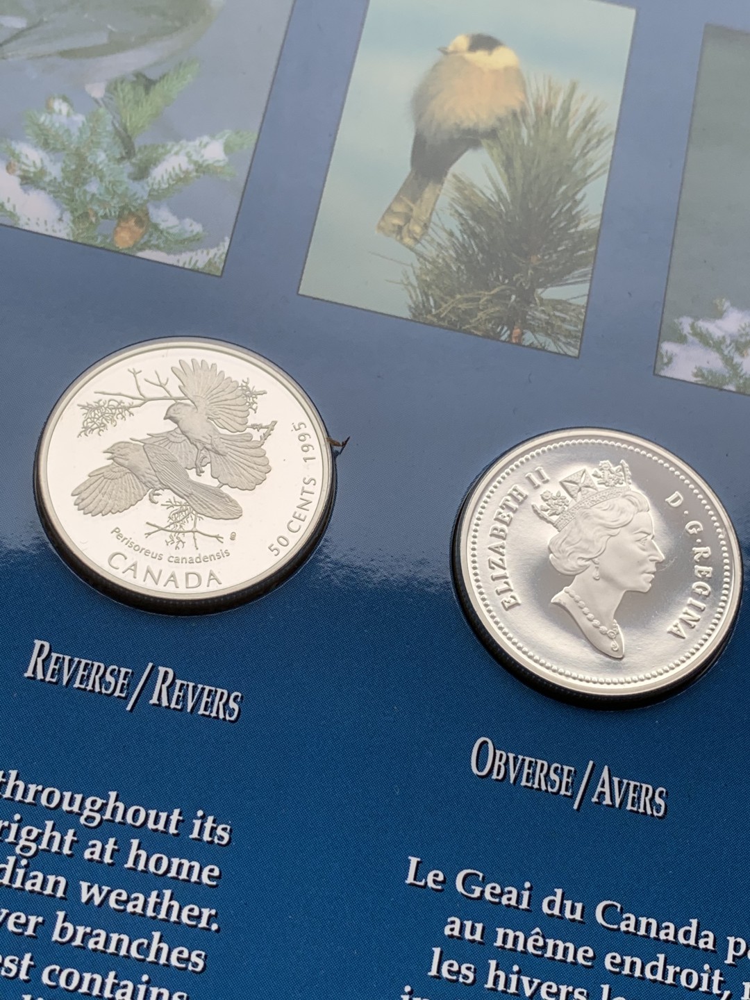 《竞宝斋》第97场-本周四 （满2件或者满200包顺丰） 加拿大 1995年 动物系列4枚套 封装套币 50分 精制银币 9.3克/枚