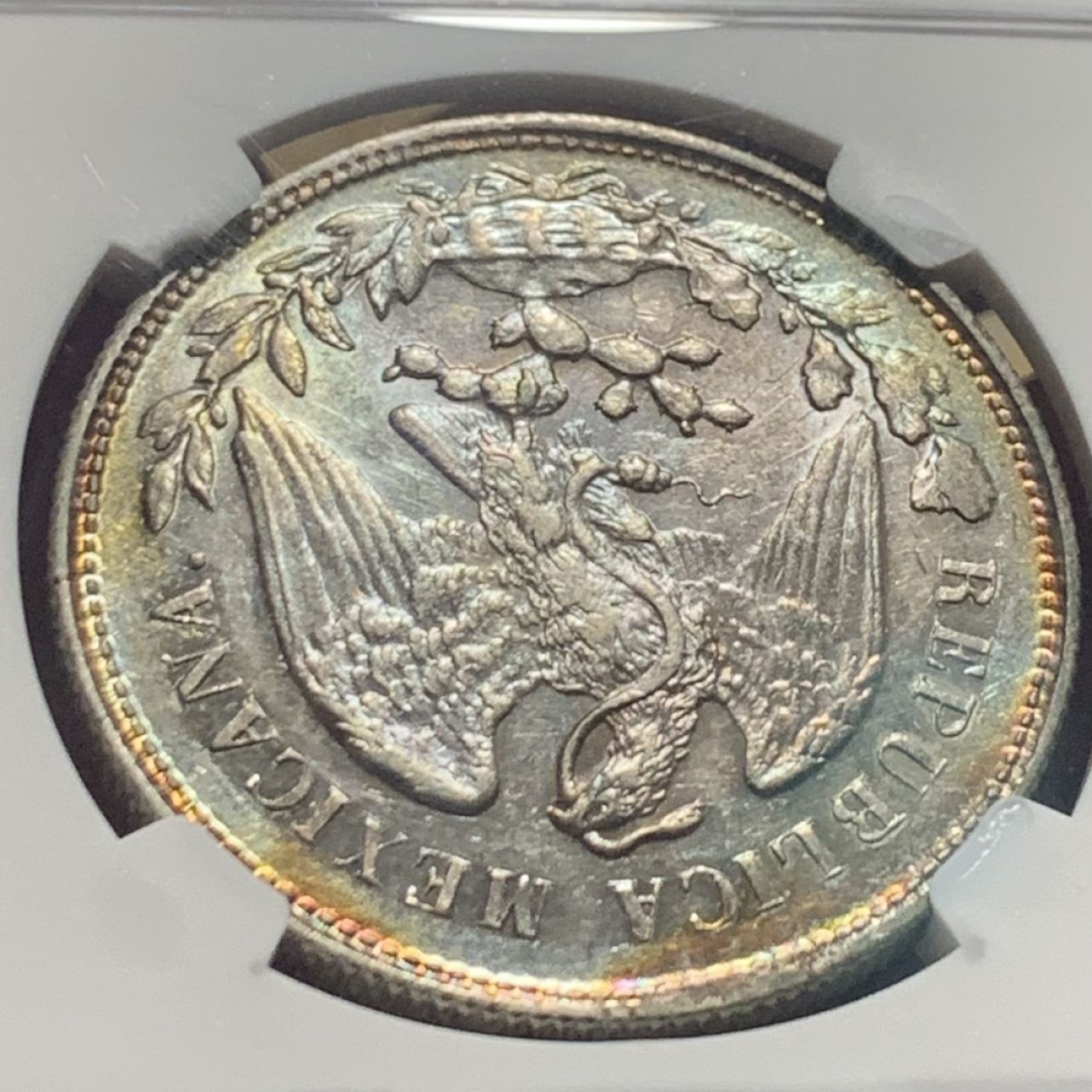 紫瑗钱币——第273期拍卖