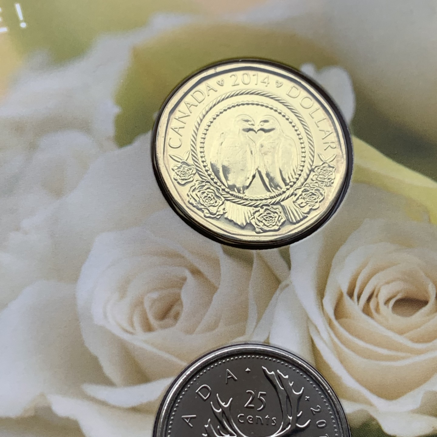 《竞宝斋》第97场-本周四 （满2件或者满200包顺丰） 三套 封装加拿大 2014年 五枚装套币 完美状态