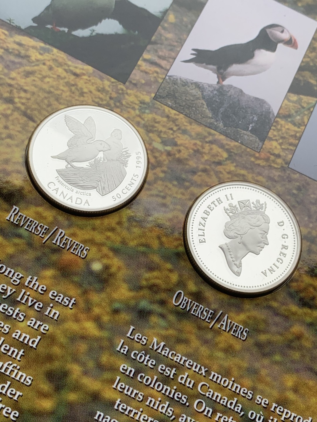 《竞宝斋》第97场-本周四 （满2件或者满200包顺丰） 加拿大 1995年 动物系列4枚套 封装套币 50分 精制银币 9.3克/枚