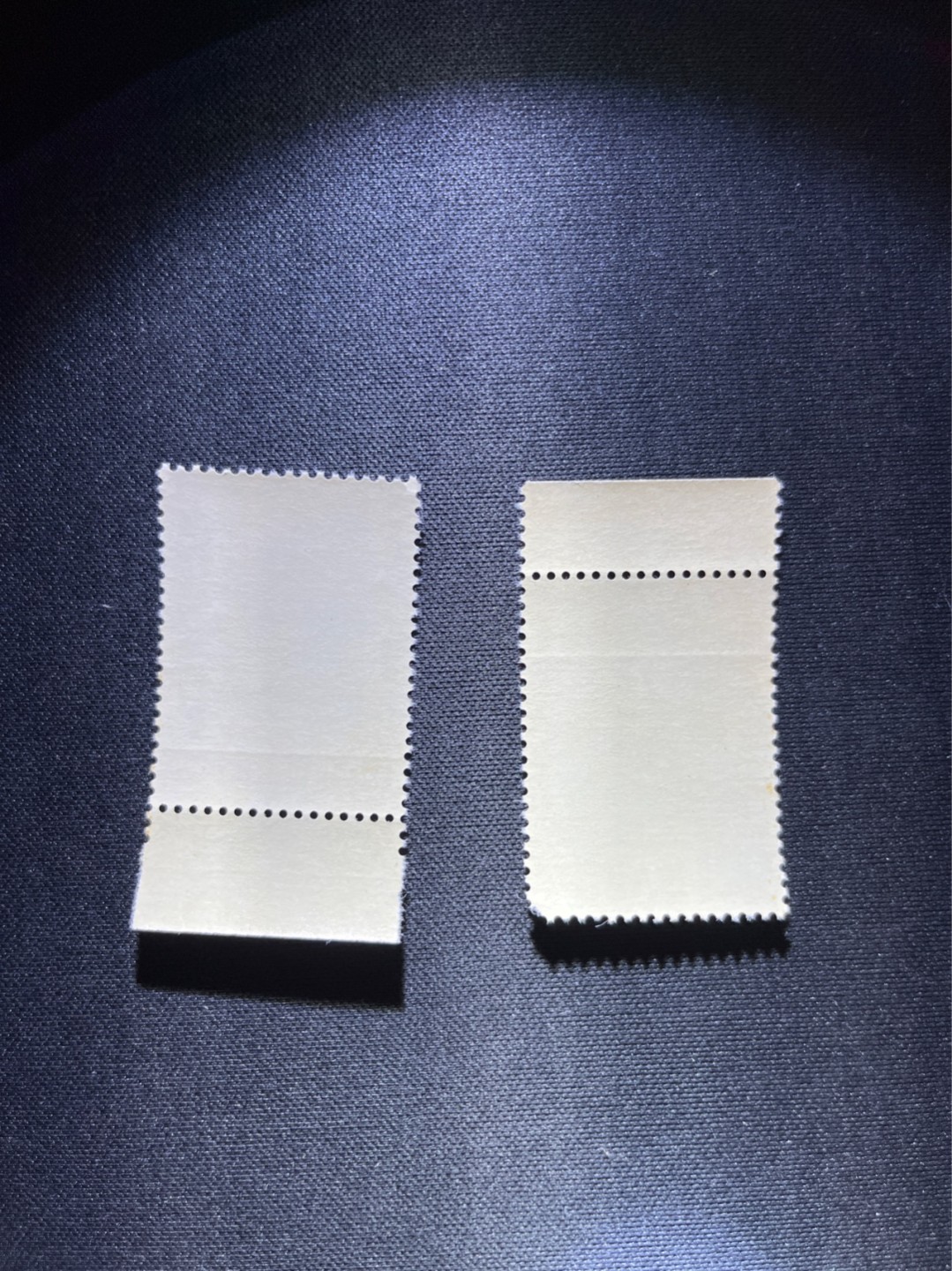洪涛臻品 精选邮票限时拍卖第三十五期 纪91鲁迅新全2套，版撕的，各撕坏了一个角，见图，所有拍品包过灯，注意捡漏