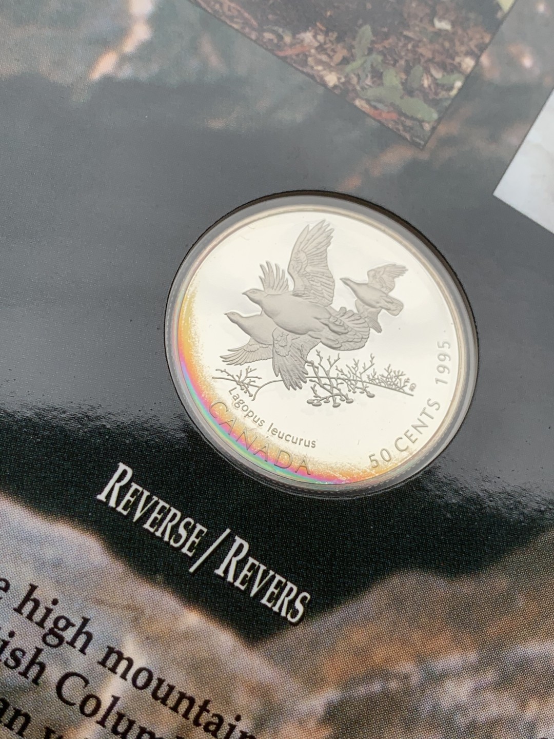 《竞宝斋》第97场-本周四 （满2件或者满200包顺丰） 加拿大 1995年 动物系列4枚套 封装套币 50分 精制银币 9.3克/枚