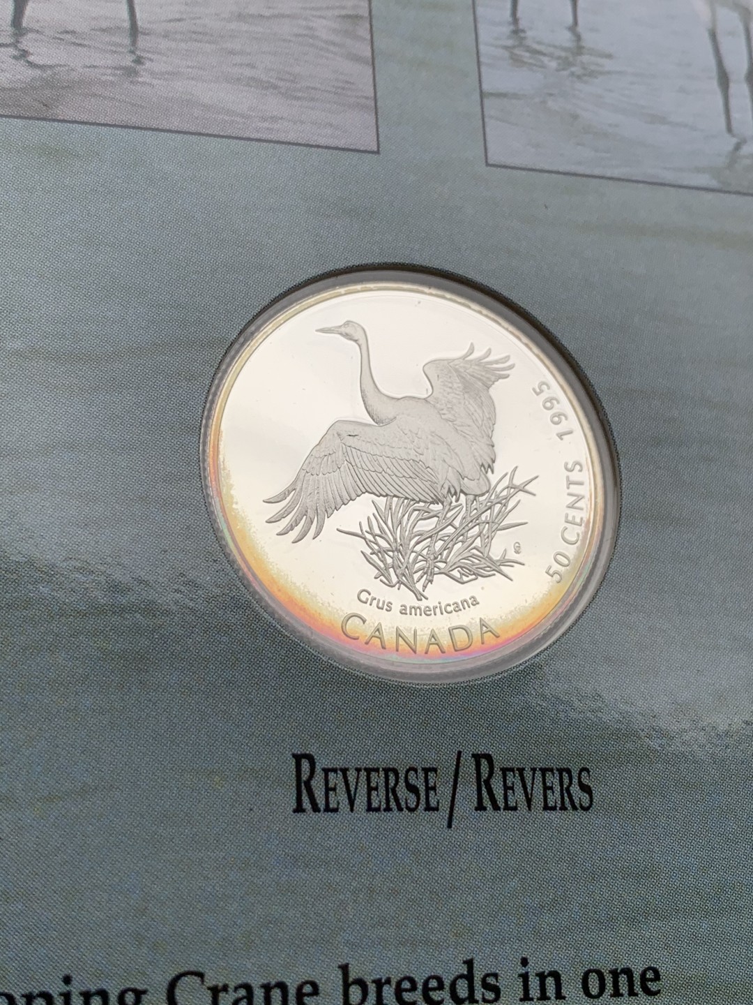 《竞宝斋》第97场-本周四 （满2件或者满200包顺丰） 加拿大 1995年 动物系列4枚套 封装套币 50分 精制银币 9.3克/枚