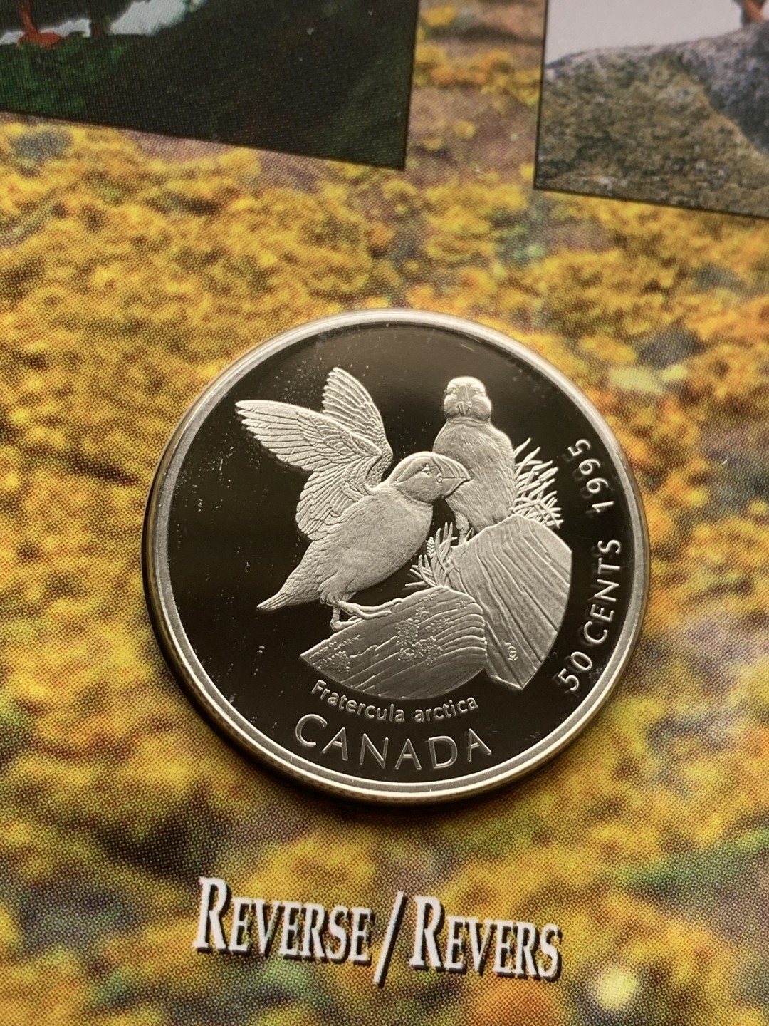 《竞宝斋》第97场-本周四 （满2件或者满200包顺丰） 加拿大 1995年 动物系列4枚套 封装套币 50分 精制银币 9.3克/枚