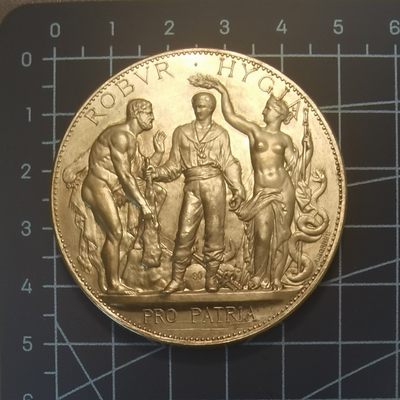 🔥奇货可居🔥 第三十五场 章牌专场 【鎏金，银，铜】 - 公共卫生部门银章