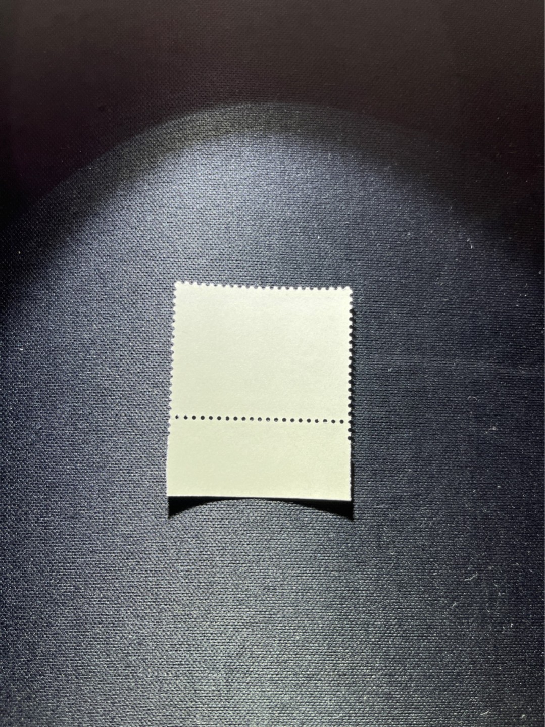 洪涛臻品 精选邮票限时拍卖第三十五期 编号熊猫N59  1枚，版撕全品嘎嘎绝✦绝品✦齿孔非常新，完美品相，背面雪白，不是赵涌所谓的全品能比的，所有拍品包过灯，全品可评级，注意捡漏。《ASG评级处于初级阶段，趁便宜囤精品版撕票，后市不可估量》