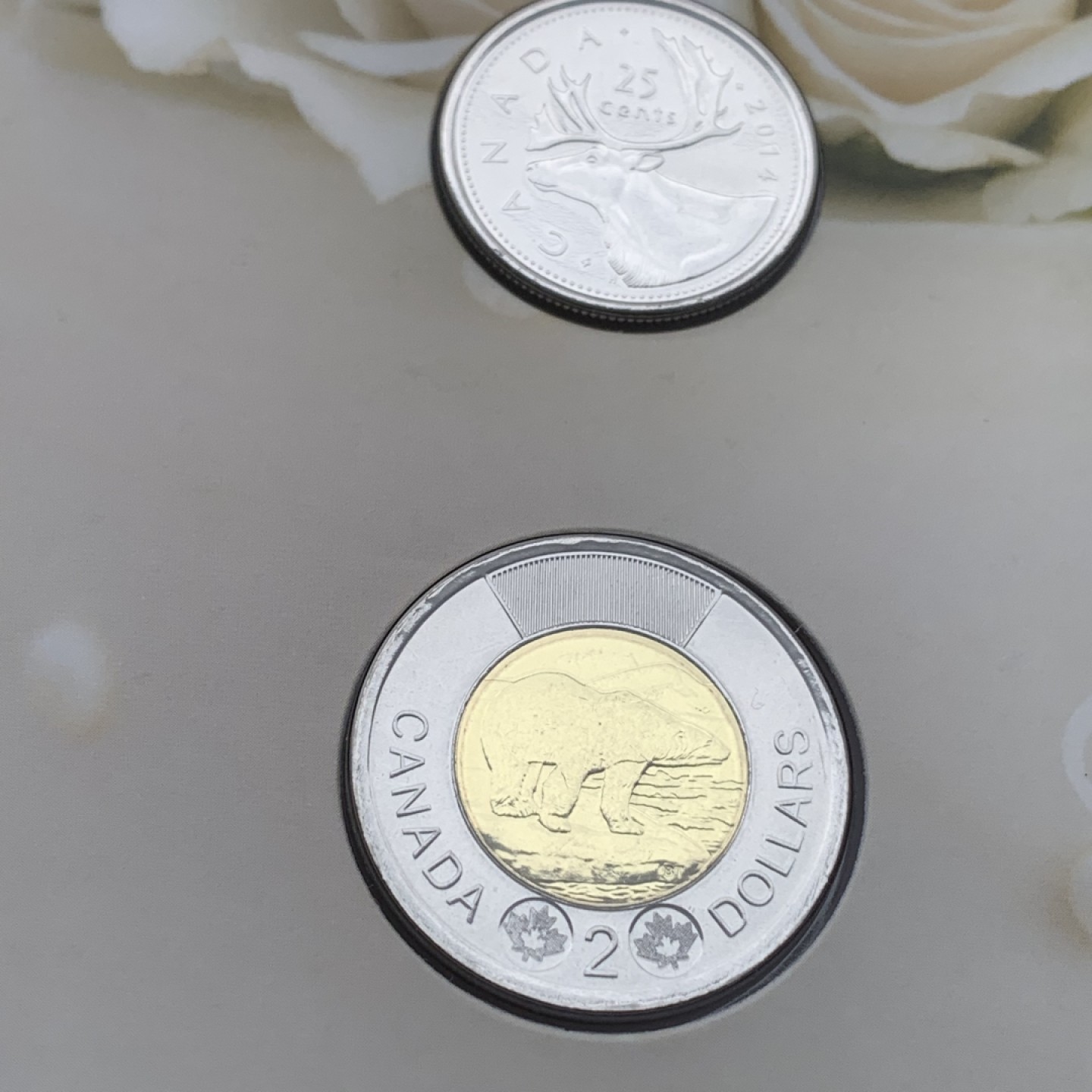 《竞宝斋》第97场-本周四 （满2件或者满200包顺丰） 三套 封装加拿大 2014年 五枚装套币 完美状态