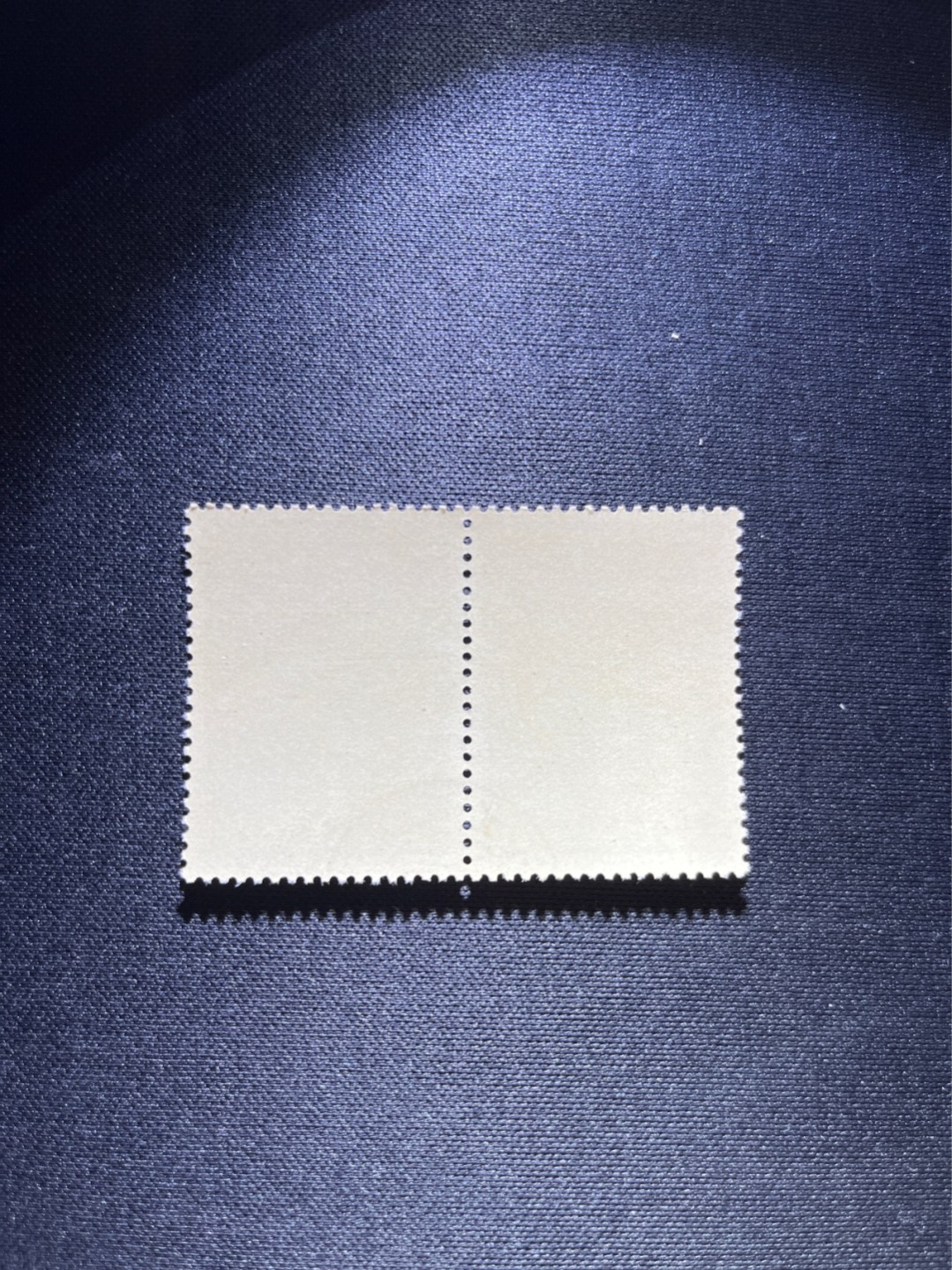 洪涛臻品 精选邮票限时拍卖第三十六期 纪92古科  8-2 盖销  2连 中间戳，完美品相，版撕全品嘎嘎绝  边纸。解放初的经典票，整版撕开，面艳胶白，票挺洁净，齿孔完美，收藏评级两相宜，且有高附加值边纸。老纪特的版票资源十分稀缺难寻，机会来临时必须抓住。存货有限，售完即撤