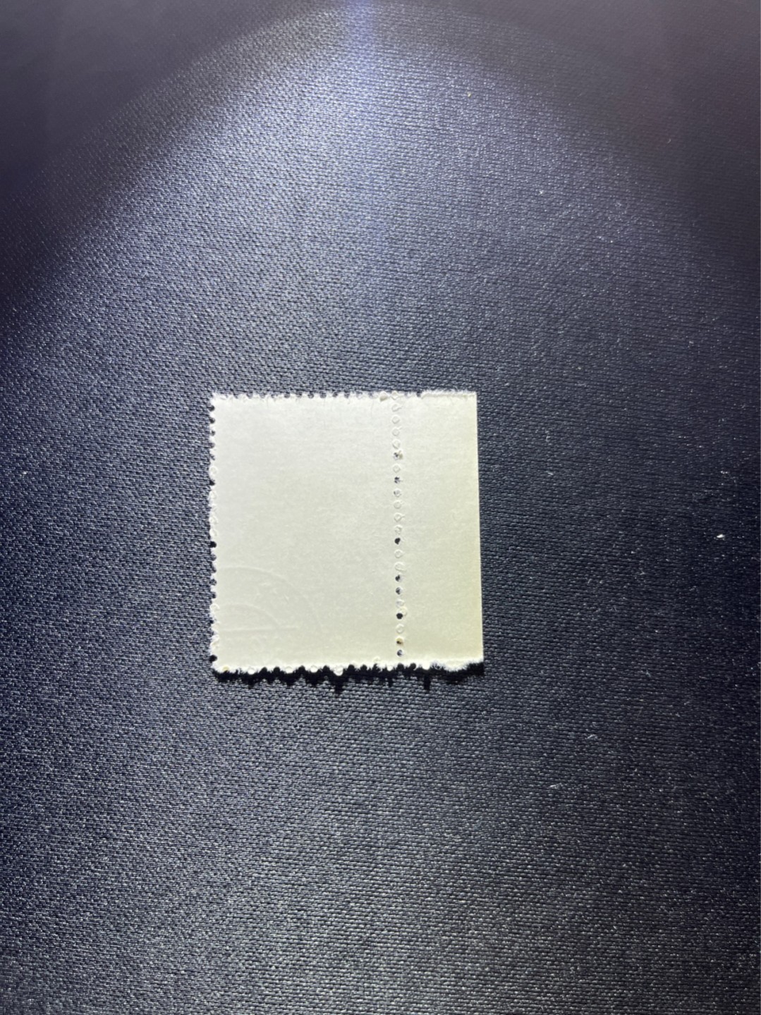 洪涛臻品 精选邮票限时拍卖第三十六期 特56蝴蝶盖销  20-8一枚，数字边，六珍三俗稀缺，版撕全品嘎嘎绝，钢戳，面艳胶白，六珍之一，非常受欢迎的品种，新票价格高，盖销全品不要错过