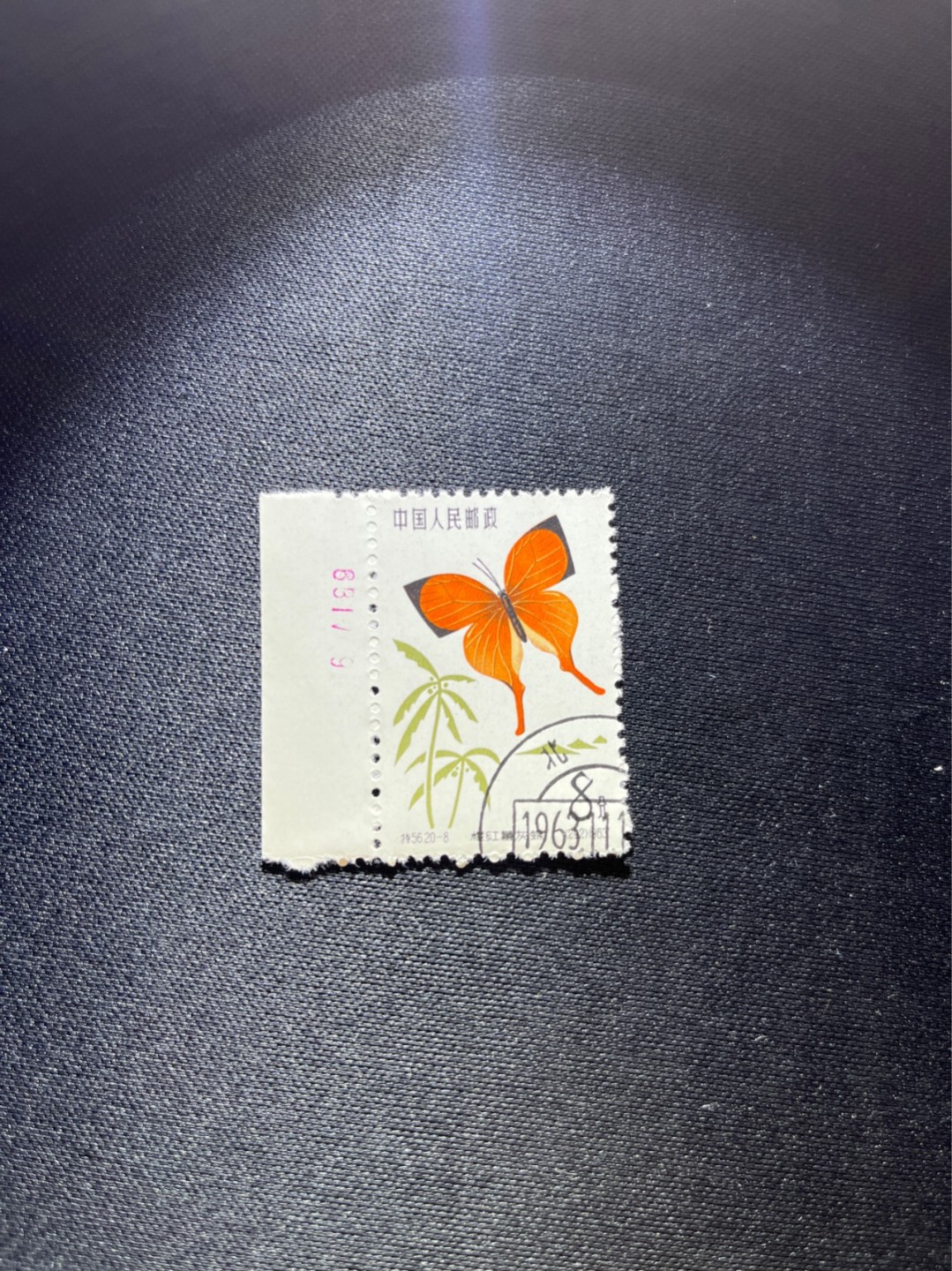 洪涛臻品 精选邮票限时拍卖第三十六期 特56蝴蝶盖销  20-8一枚，数字边，六珍三俗稀缺，版撕全品嘎嘎绝，钢戳，面艳胶白，六珍之一，非常受欢迎的品种，新票价格高，盖销全品不要错过