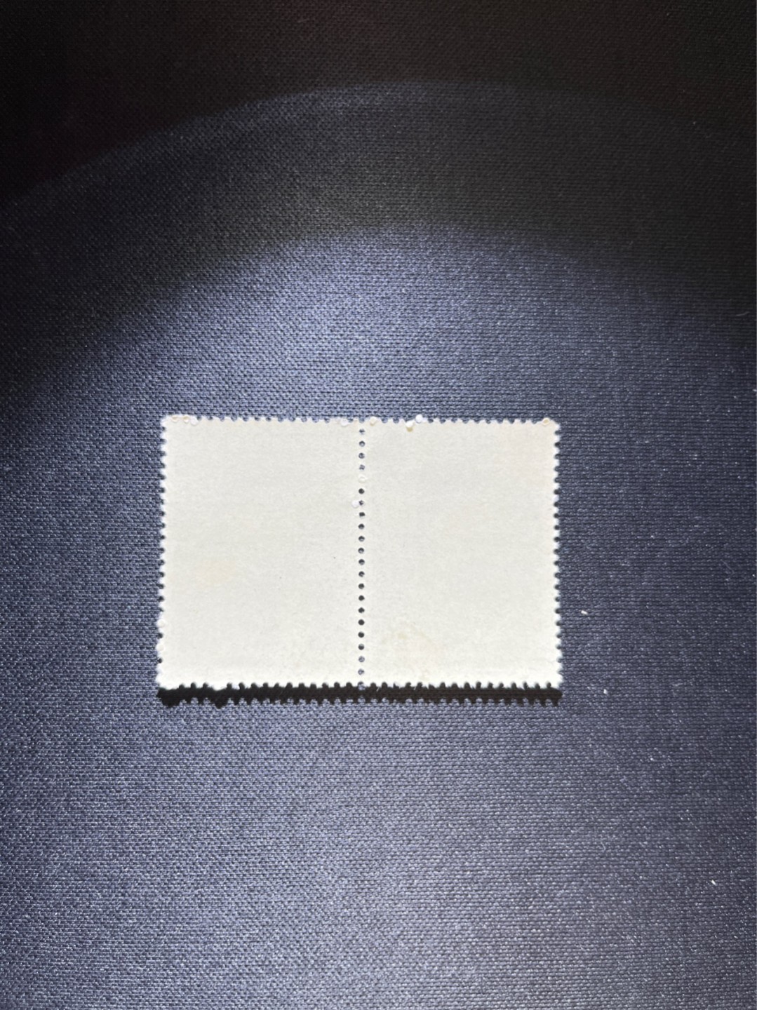 洪涛臻品 精选邮票限时拍卖第三十六期 纪92古科  8-3 盖销  2连  中间戳，完美品相，版撕全品嘎嘎绝。解放初的经典票，整版撕开，面艳胶白，票挺洁净，齿孔完美，收藏评级两相宜。老纪特的版票资源十分稀缺难寻，机会来临时必须抓住。
