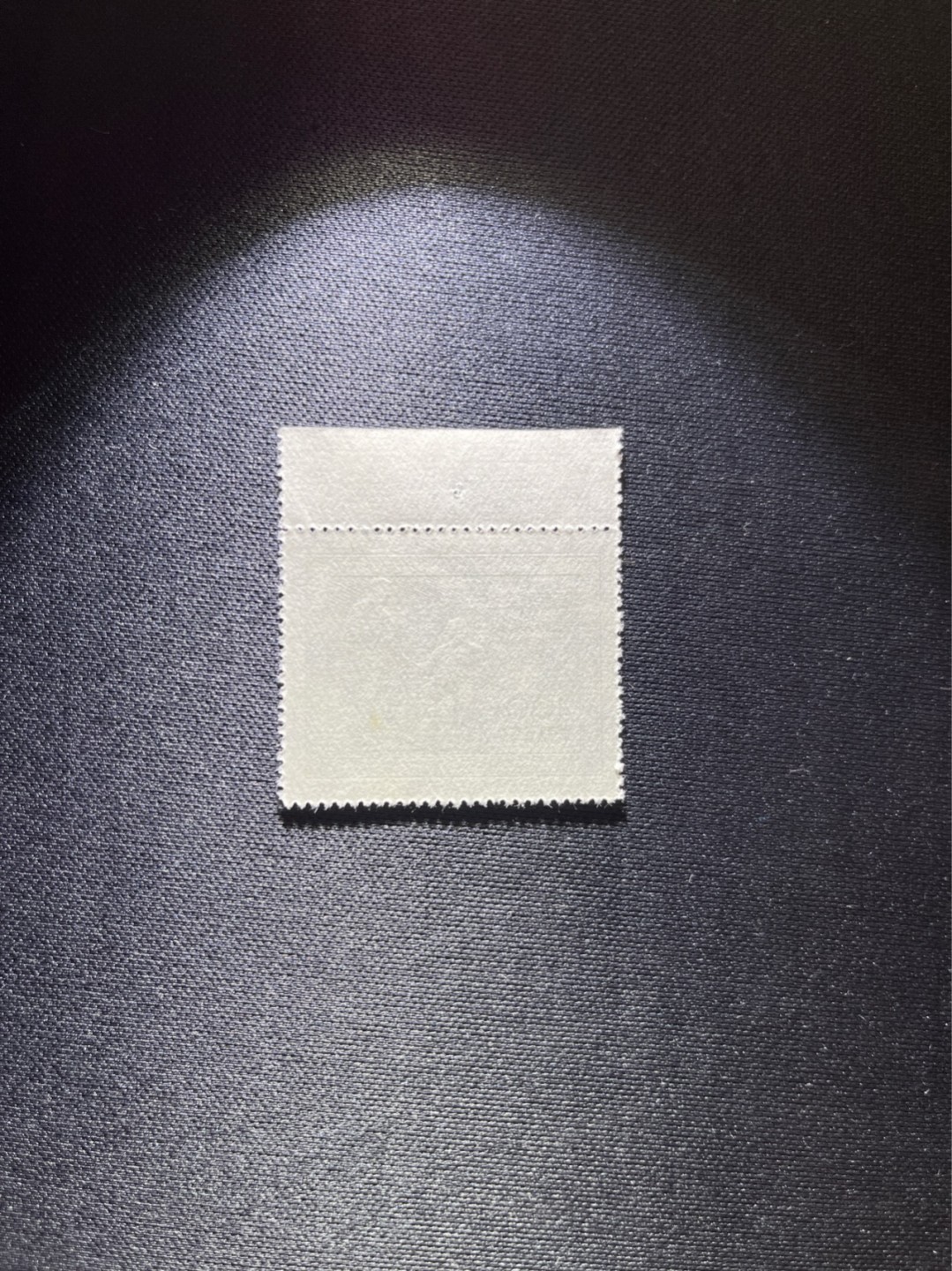 洪涛臻品 精选邮票限时拍卖第三十六期 纪26列宁新 次筋3-3  十字色线，边纸有针孔不影响品相  版撕全品嘎嘎绝✦绝品✦收藏级品相★老纪特经典票，ASG90分一套价格1500元左右，博分首选，收藏或评级必须选版撕票，注意捡漏