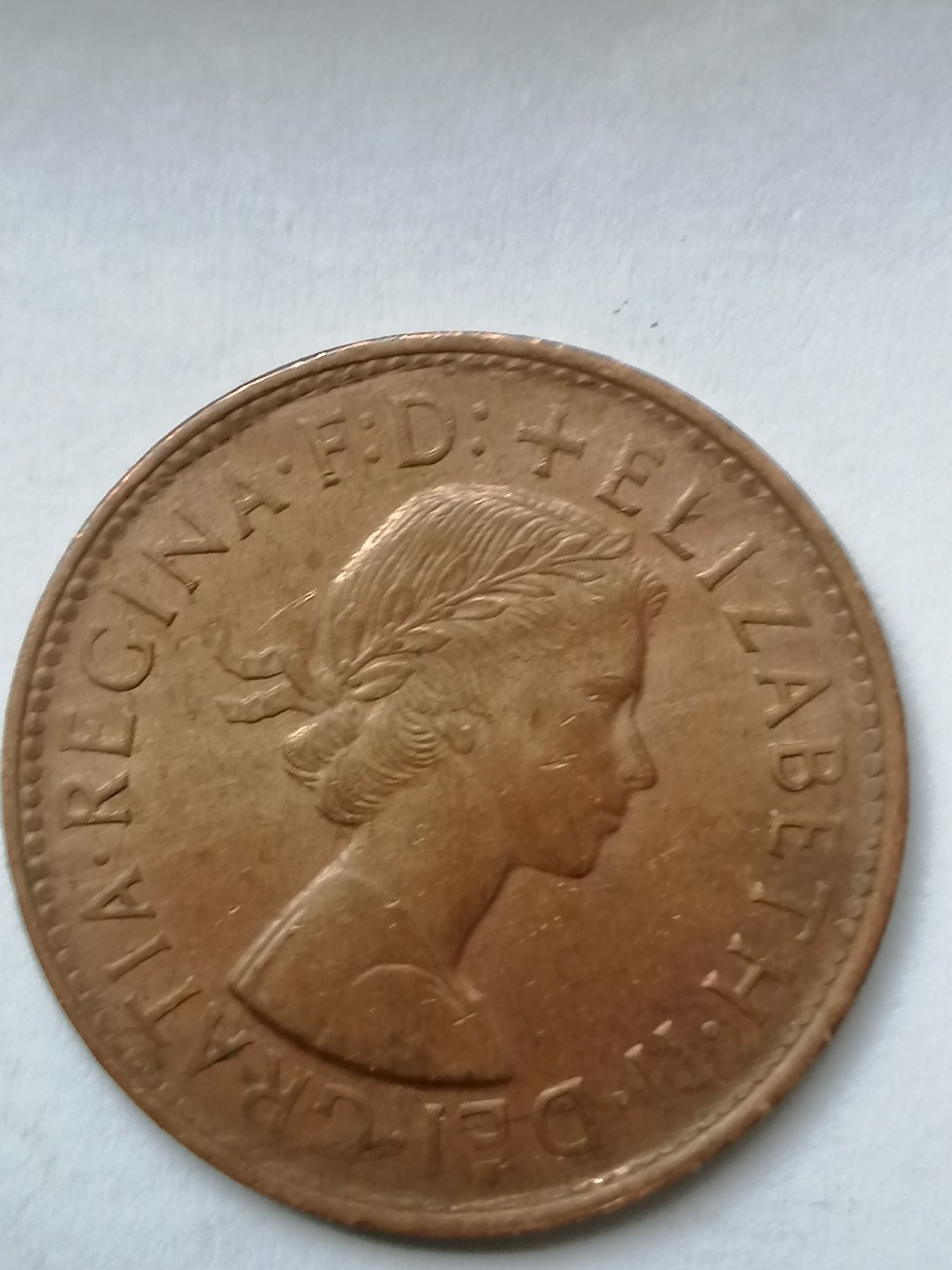 钱币专场 61年袋鼠币