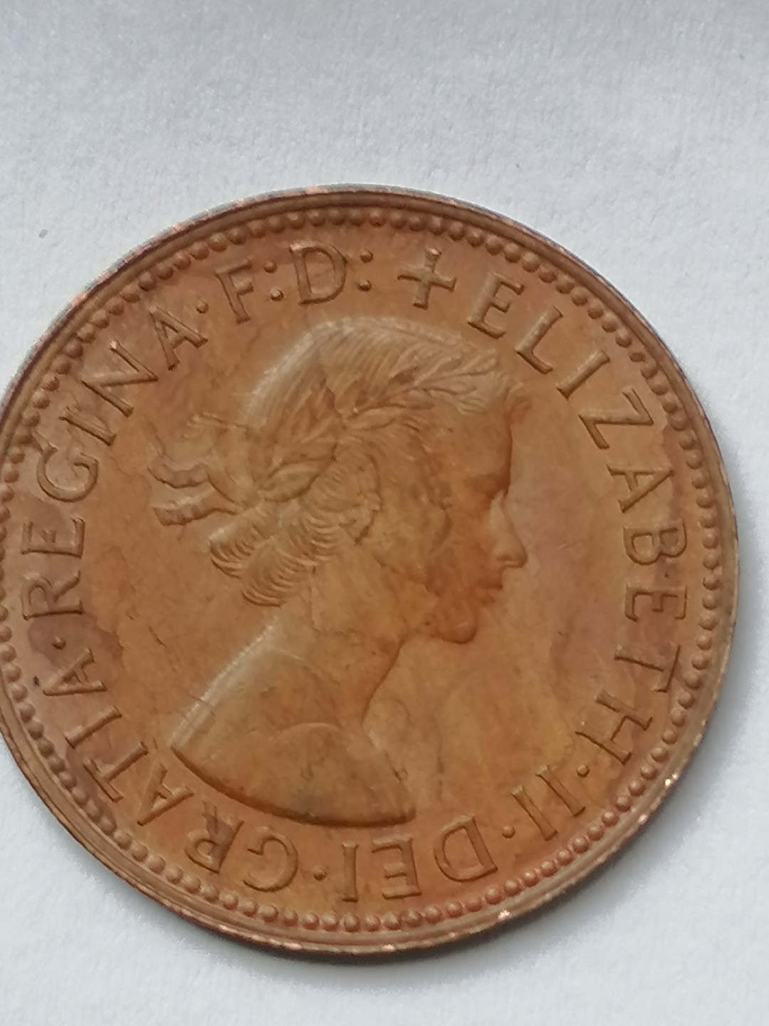 钱币专场 63年袋鼠币