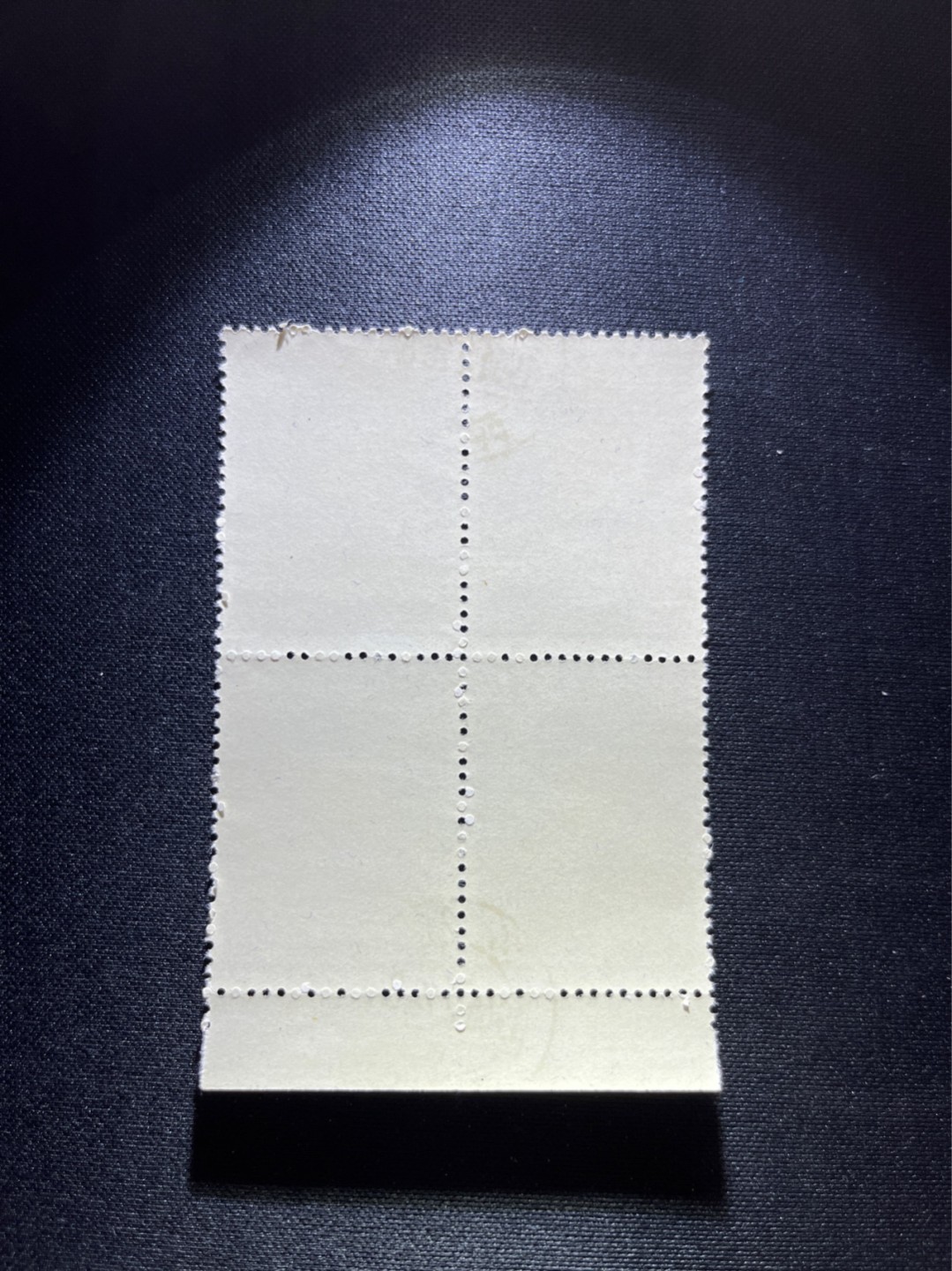 洪涛臻品 精选邮票限时拍卖第三十六期 纪92古科  8-3 盖销  4方连  非常漂亮，版撕全品嘎嘎绝。解放初的经典票，整版撕开，面艳胶白，票挺洁净，齿孔完美，收藏评级两相宜。老纪特的版票资源十分稀缺难寻，机会来临时必须抓住。