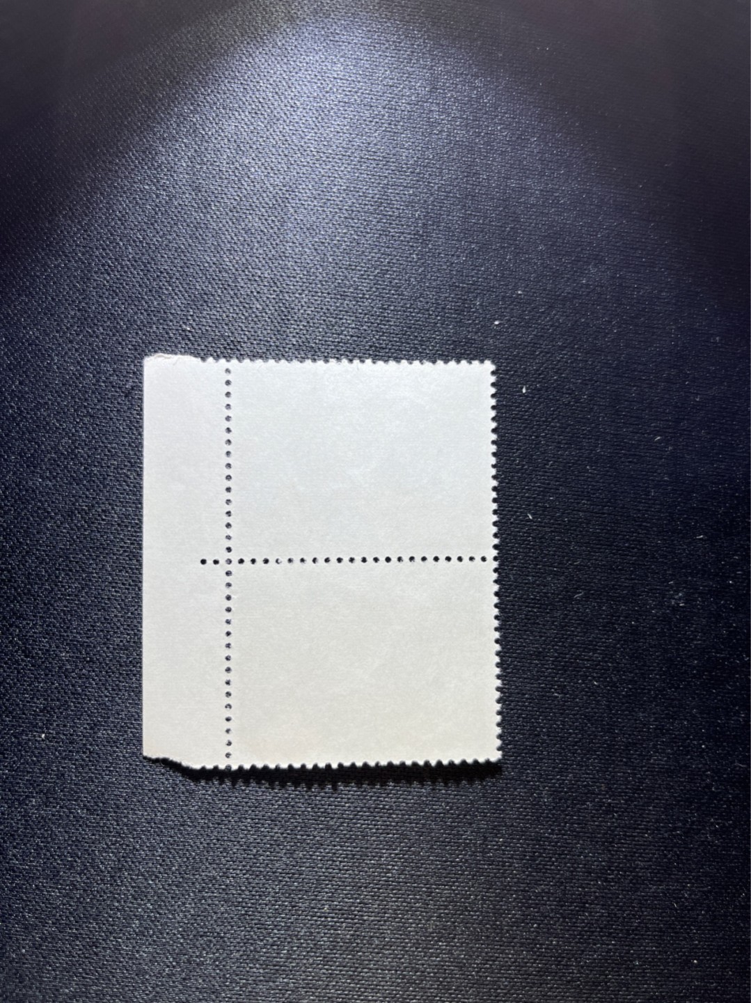 洪涛臻品 精选邮票限时拍卖第三十六期 文17  10分  厂名 2连一组，全品，三俗稀缺，喜欢不要错过，全品可评级。！《ASG评级处于初级阶段，注意建仓便宜的版撕货，未来市场前景不可估量！！！！》