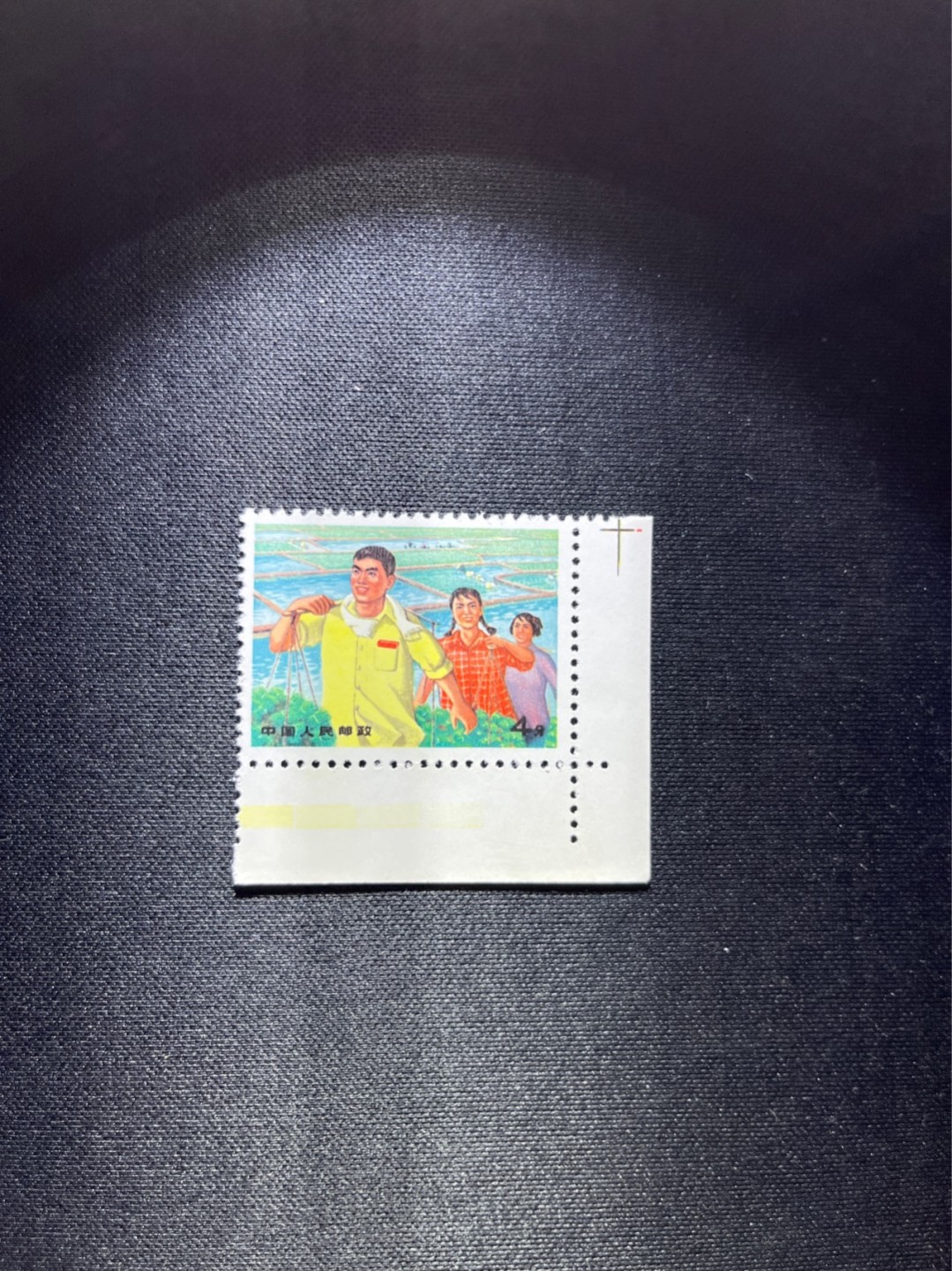 洪涛臻品 精选邮票限时拍卖第三十六期 文17  4分  1枚，右下直角边色标，全品，三俗稀缺，喜欢不要错过，全品可评级。！《ASG评级处于初级阶段，注意建仓便宜的版撕货，未来市场前景不可估量！！！！》