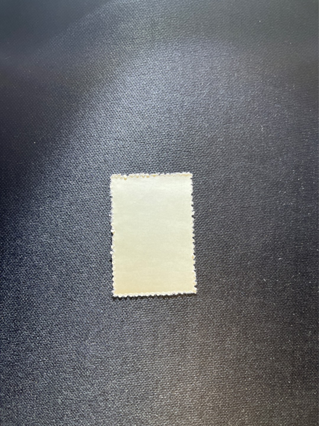 洪涛臻品 精选邮票限时拍卖第三十八期 特56蝴蝶盖销  20-15一枚，版撕全品嘎嘎绝，钢戳，面艳胶白，六珍之一，非常受欢迎的品种，新票价格高，盖销全品不要错过