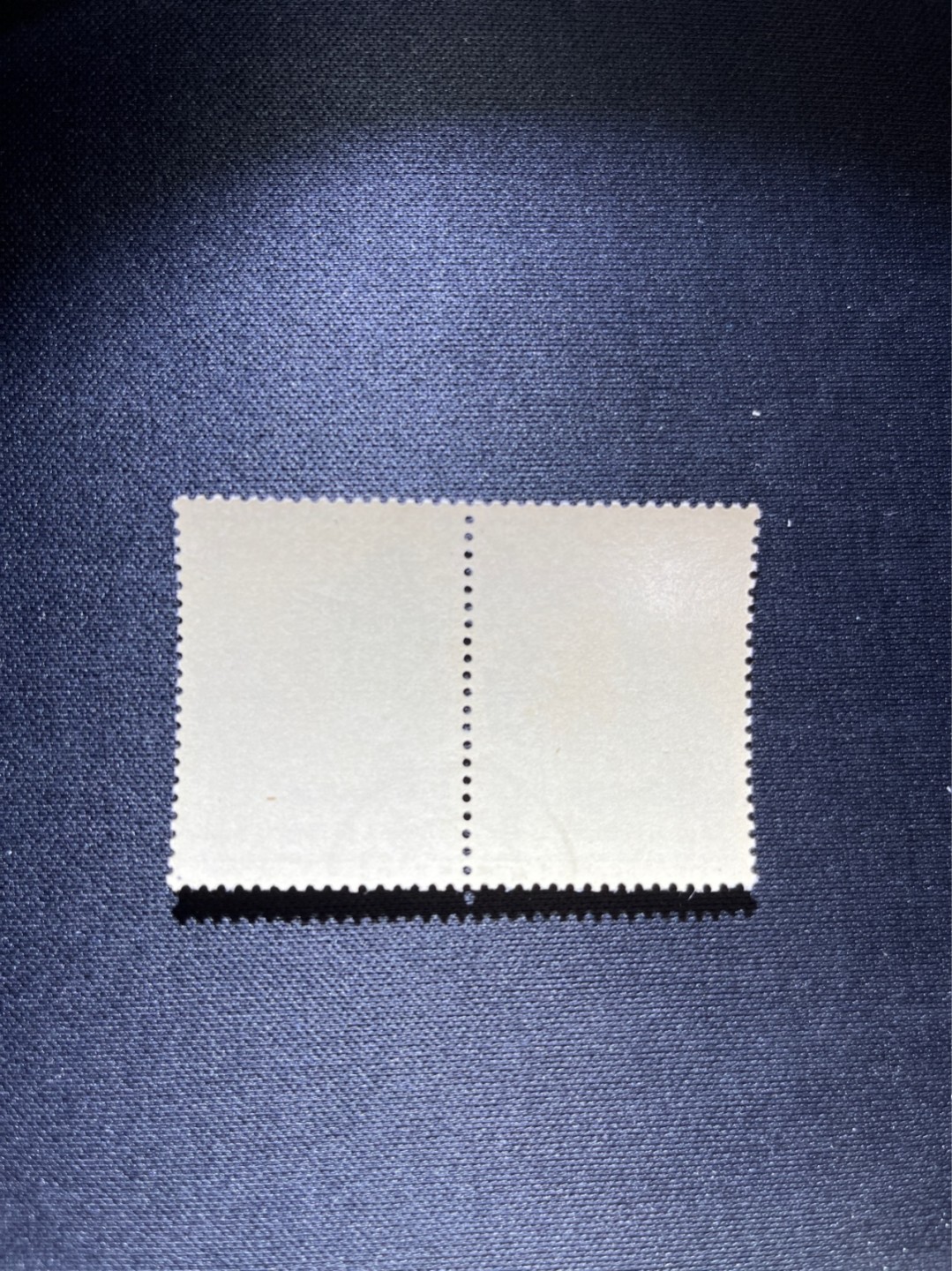 洪涛臻品 精选邮票限时拍卖第三十六期 纪92古科  8-4 盖销  2连，中间戳，完美品相。版撕全品嘎嘎绝 。解放初的经典票，整版撕开，面艳胶白，票挺洁净，齿孔完美。老纪特的版票资源十分稀缺难寻，机会来临时必须抓住，存货有限，售完即撤