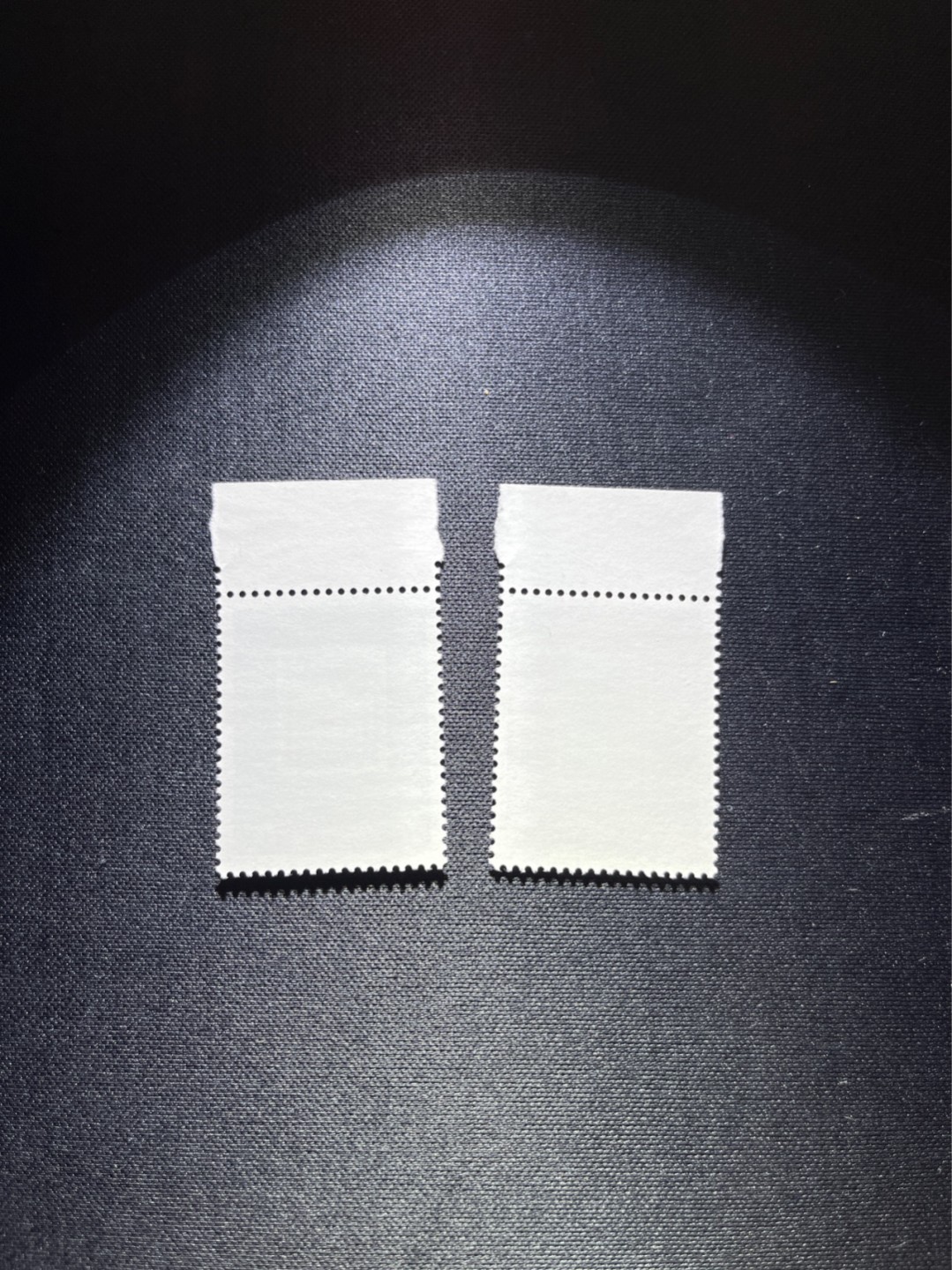 洪涛臻品 精选邮票限时拍卖第三十六期 J99邮展新全 版是全品嘎嘎绝，无任何瑕疵，收藏首选，仅此一套，喜欢不要错过